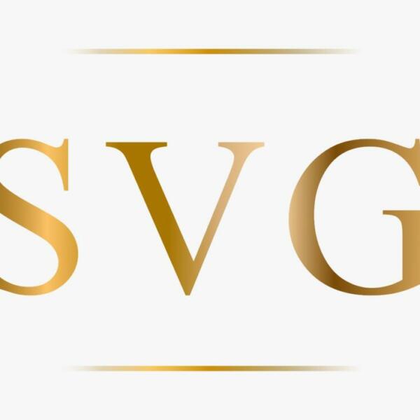 Skylight Venture Group