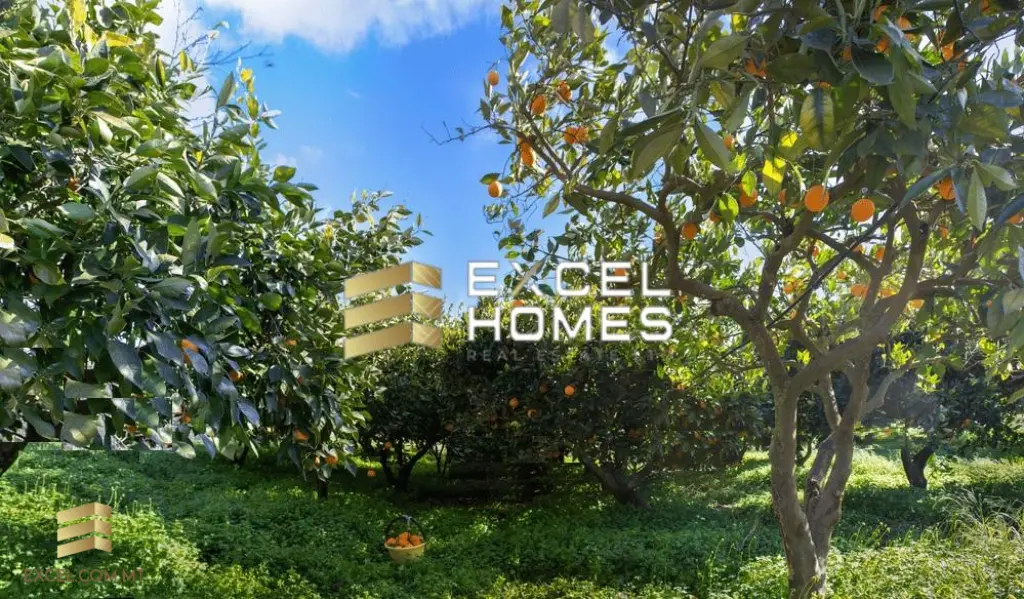 4 bedroom Villa in Attard, Malta – 29608