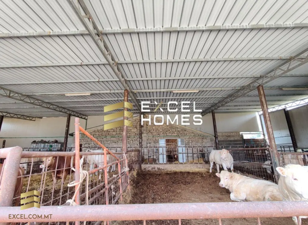 4 bedroom Bungalow in Ragusa, Malta – 29672