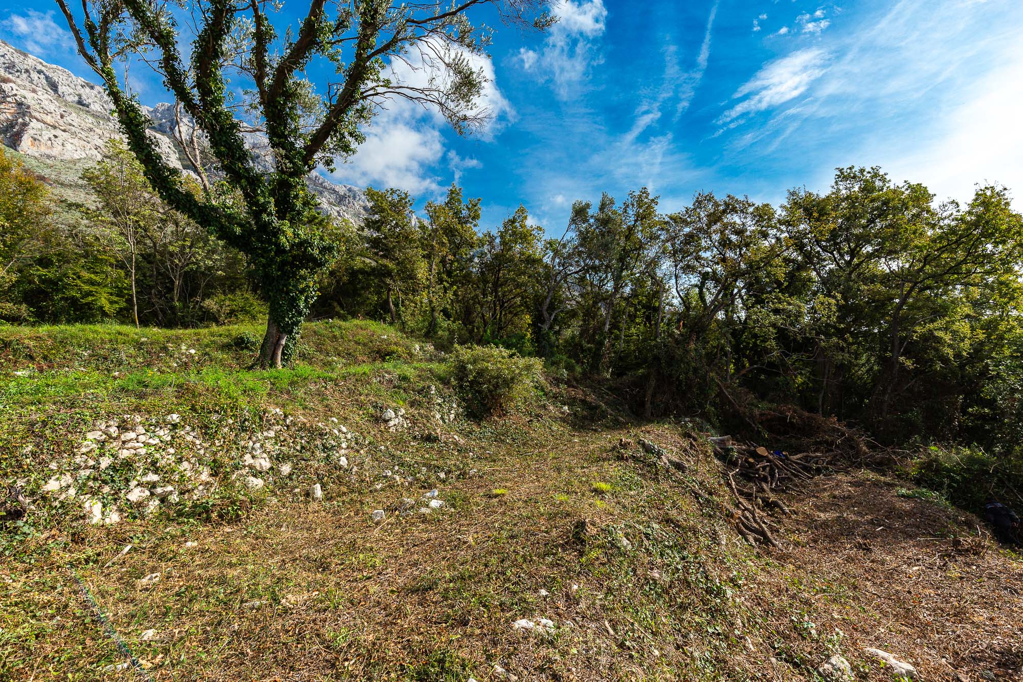 Plot in Rezevici, Montenegro – CMM52137
