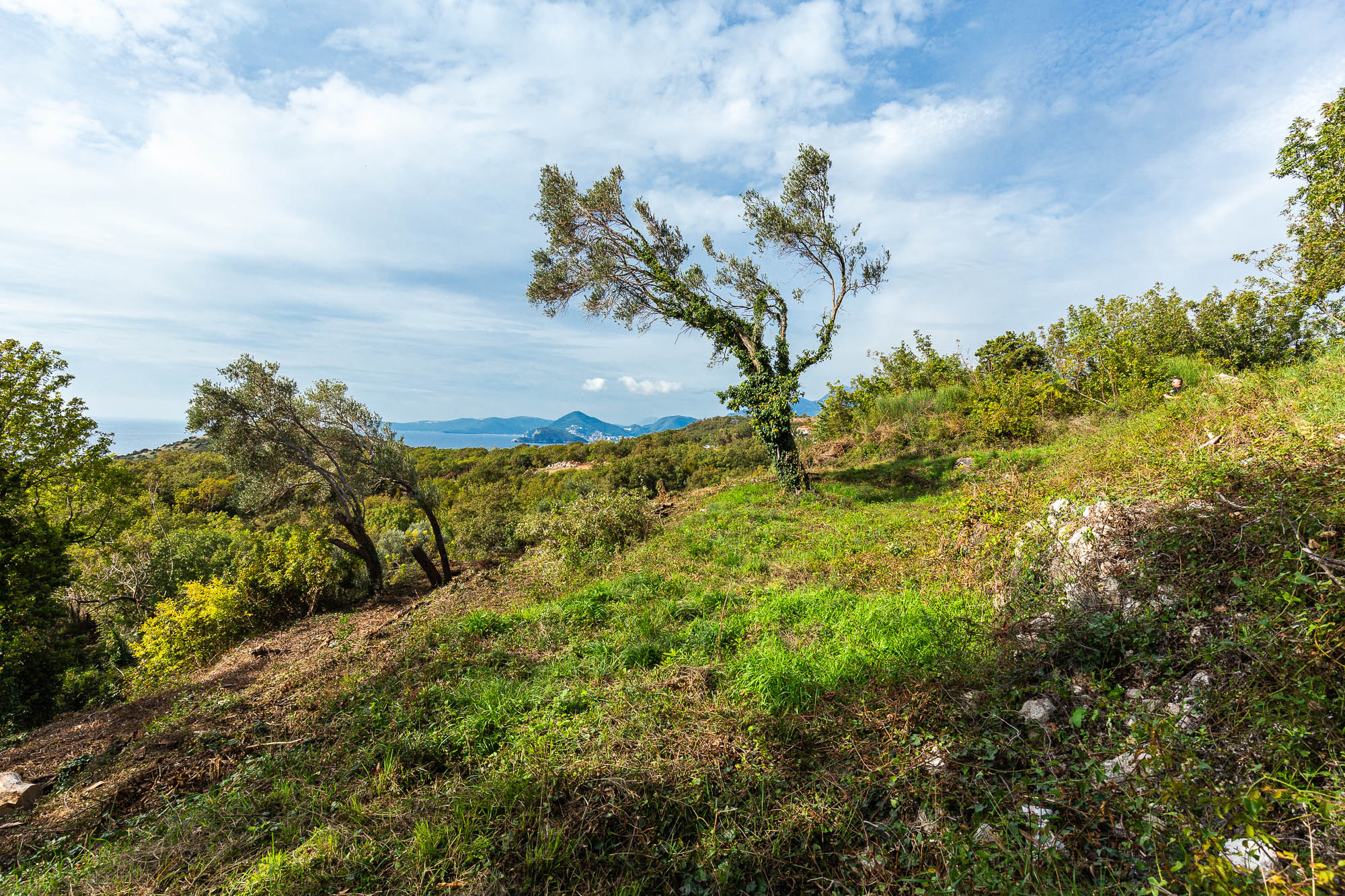 Plot in Rezevici, Montenegro – CMM52137