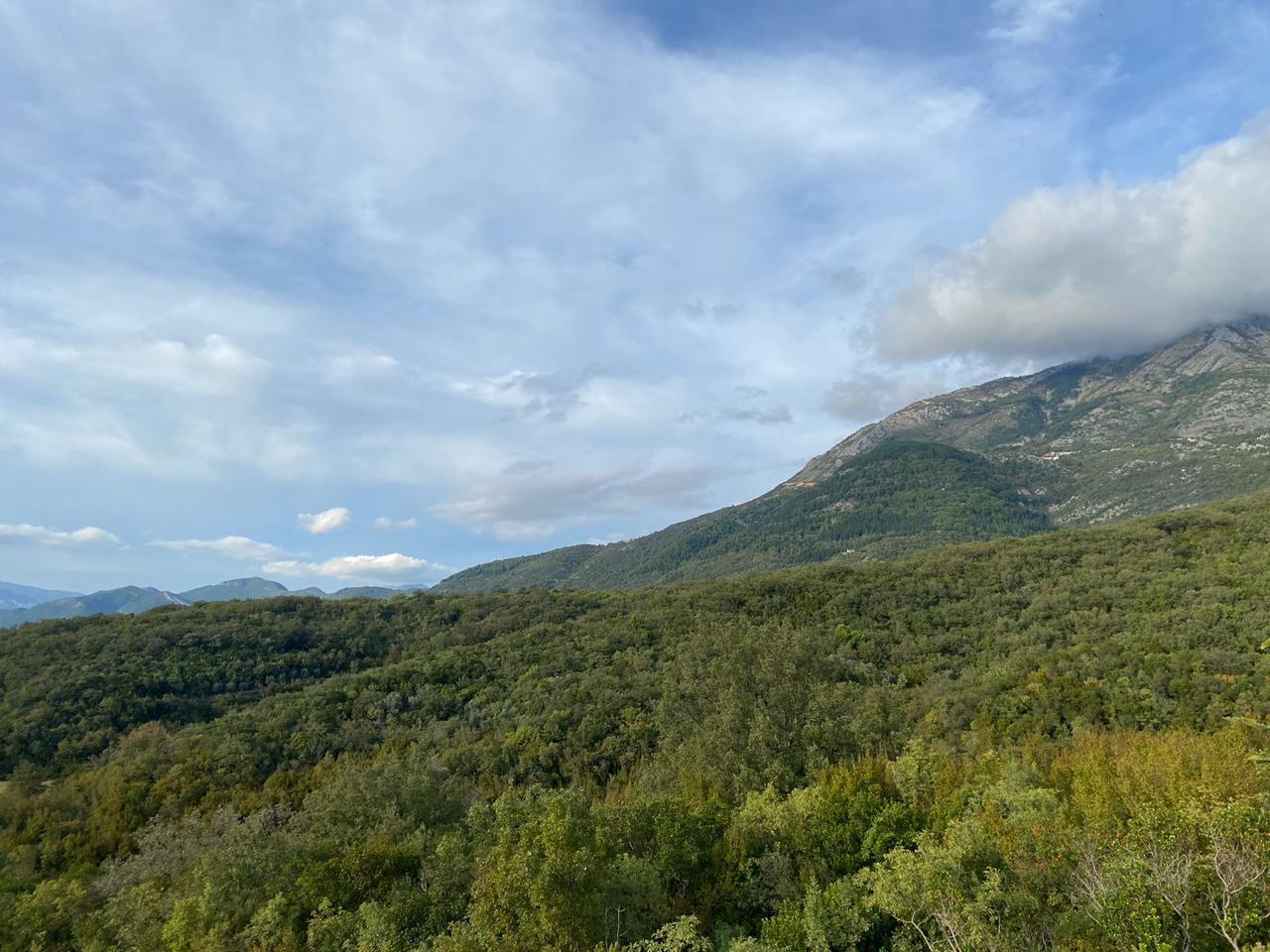 Plot in , Montenegro – CMM52177