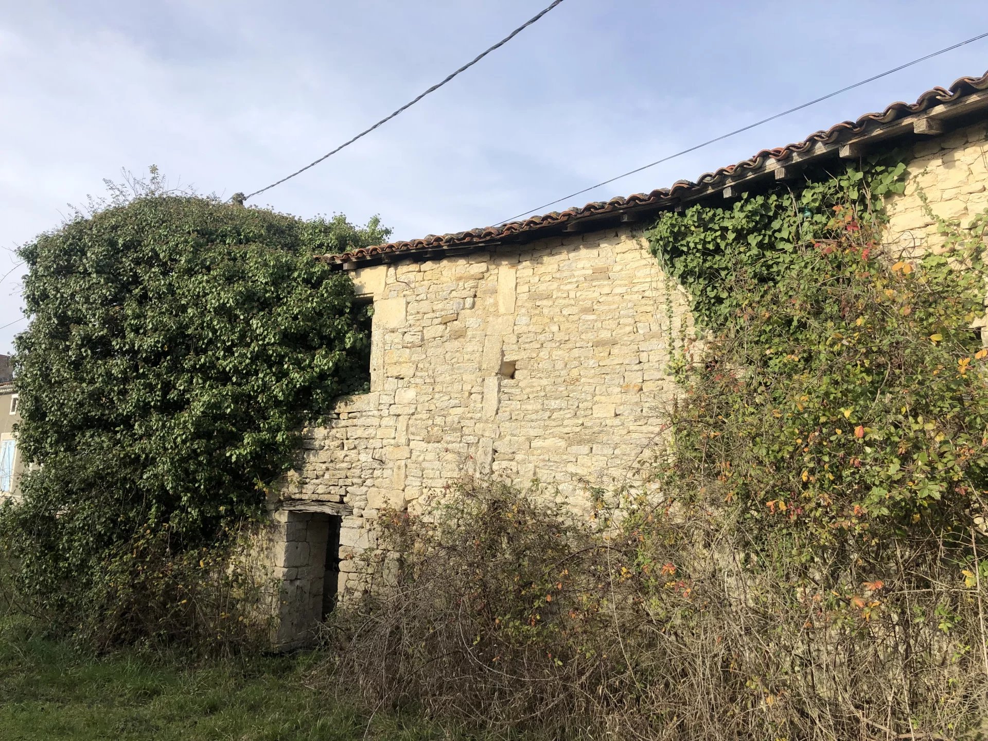 A great project with plenty of scope. Possible future gite complex, Poitou-Charentes – France – BVI71948