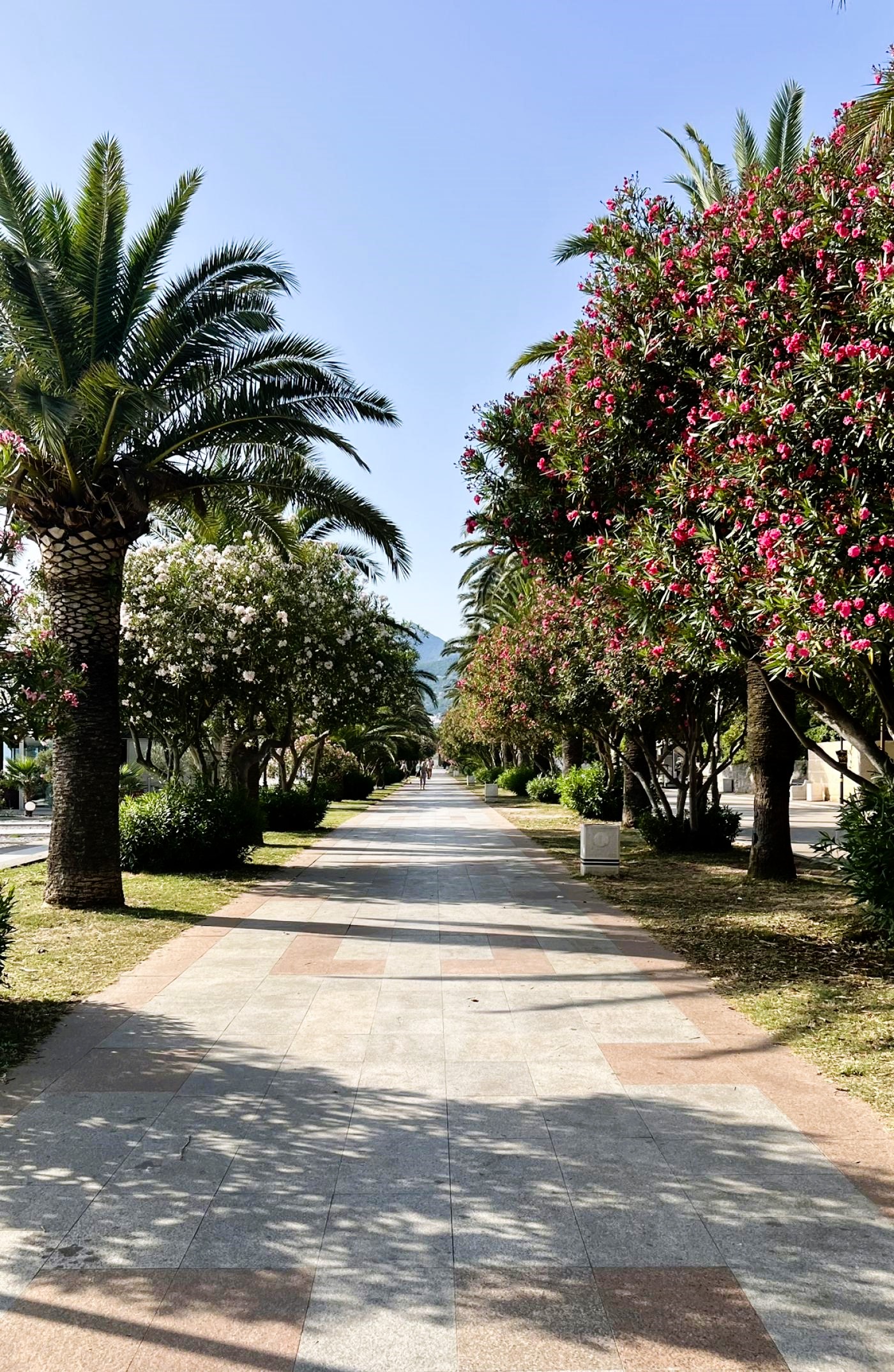 Spacious 2-Room Apartment for Sale in Soho City, Montenegro – MREVL01