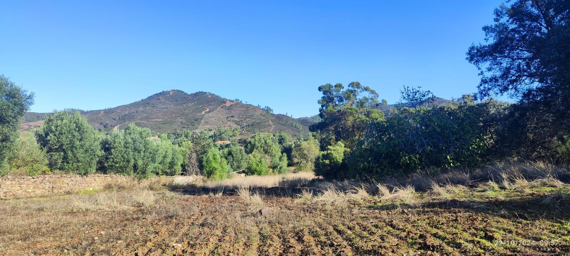 5 bedroom Villa in Salir, Algarve, Portugal – OHP-005-131