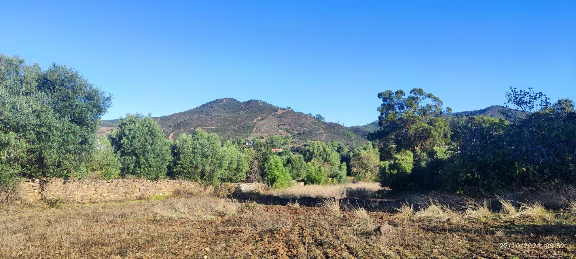 5 bedroom Villa in Salir, Algarve, Portugal – OHP-005-131