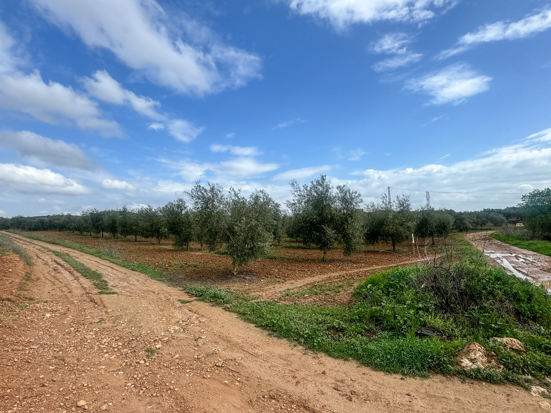Plot in Mollina, Malaga, Spain – 428-04187P