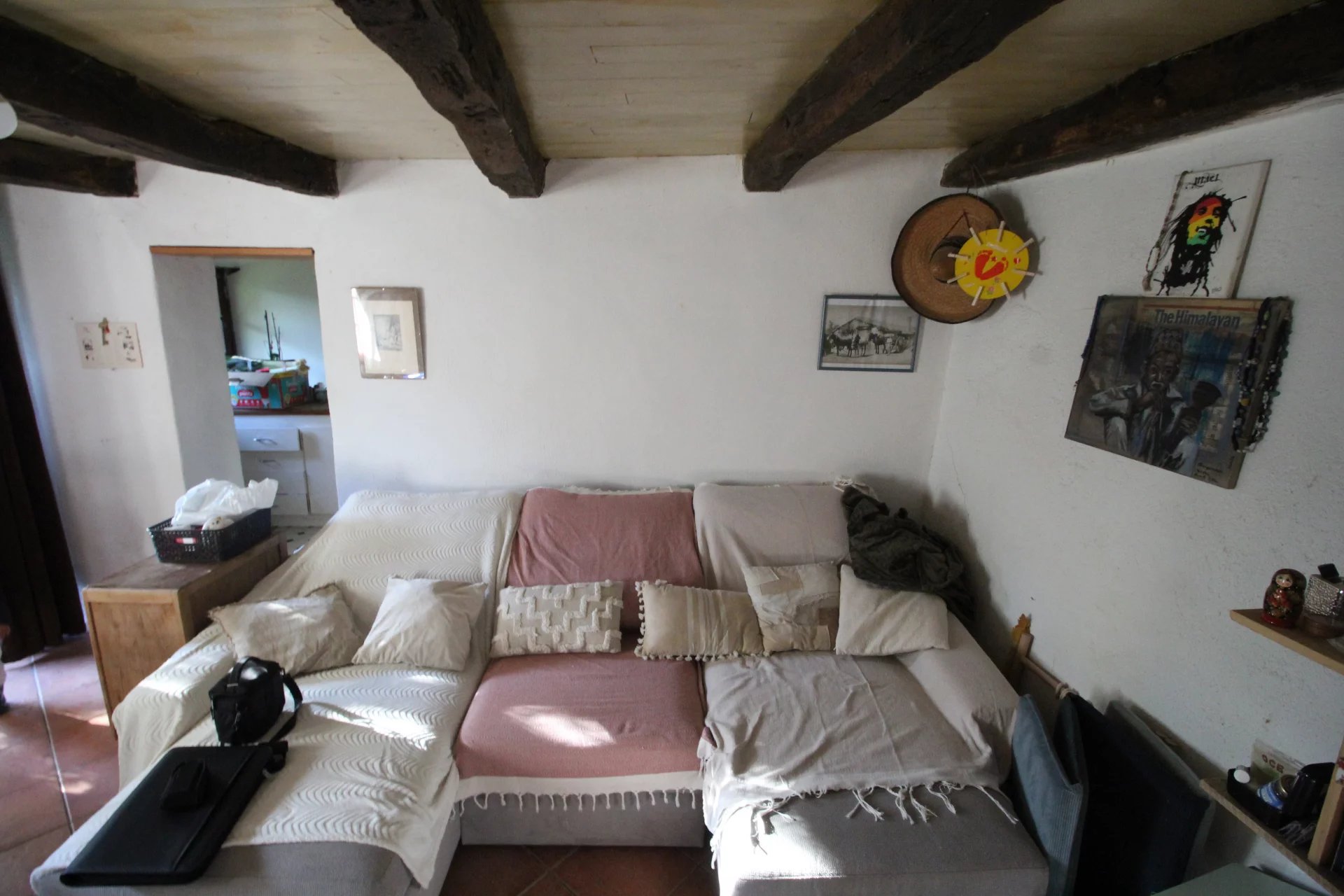 Detached village house with garden and small barn, Poitou-Charentes – France – BVI77583