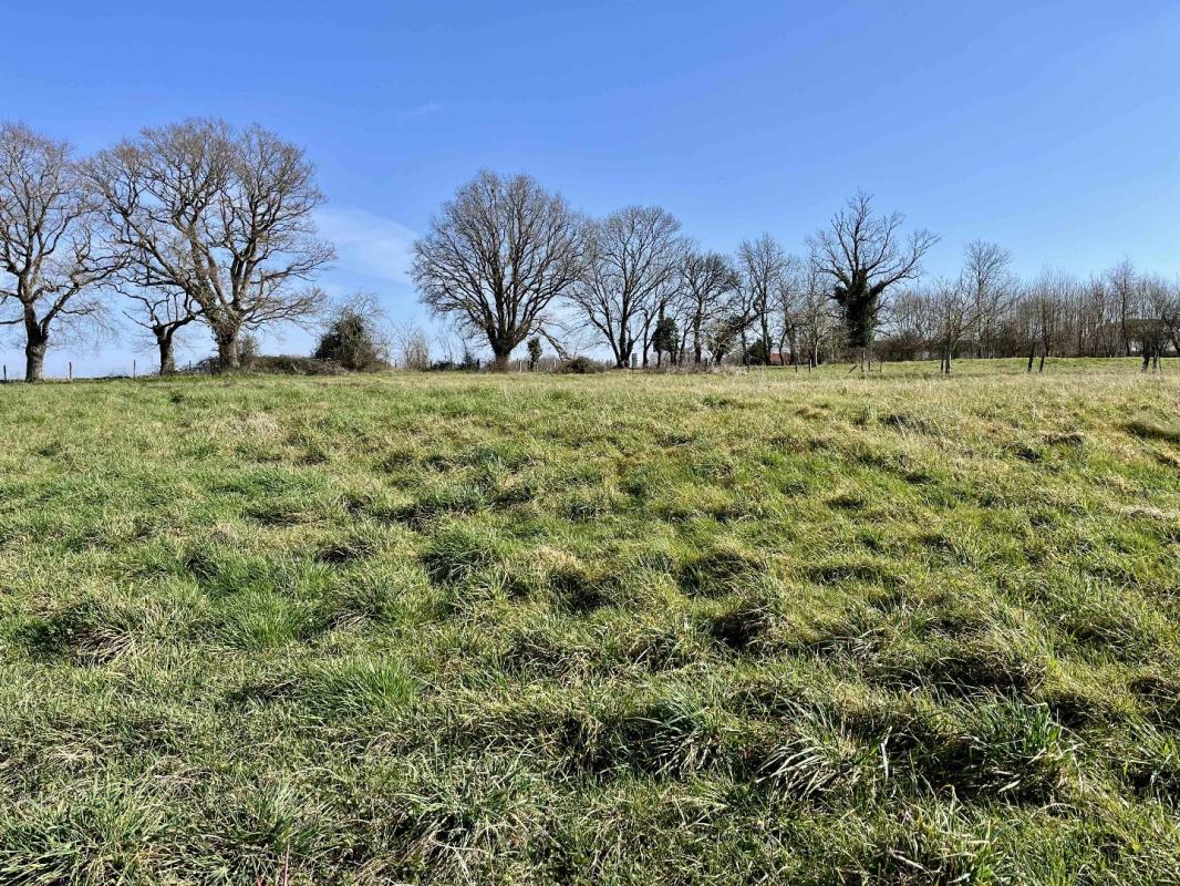 7 bedroom maison de village in Le Vigeant, Vienne, France – 12018368218