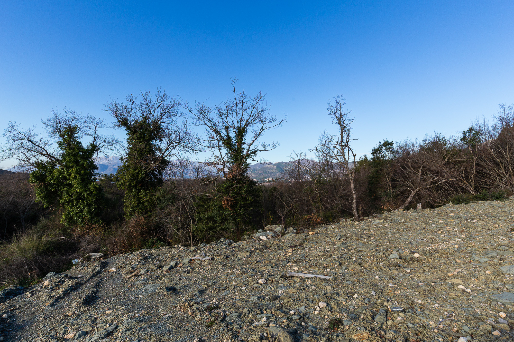 Plot in Kotor, Montenegro – CMM52245