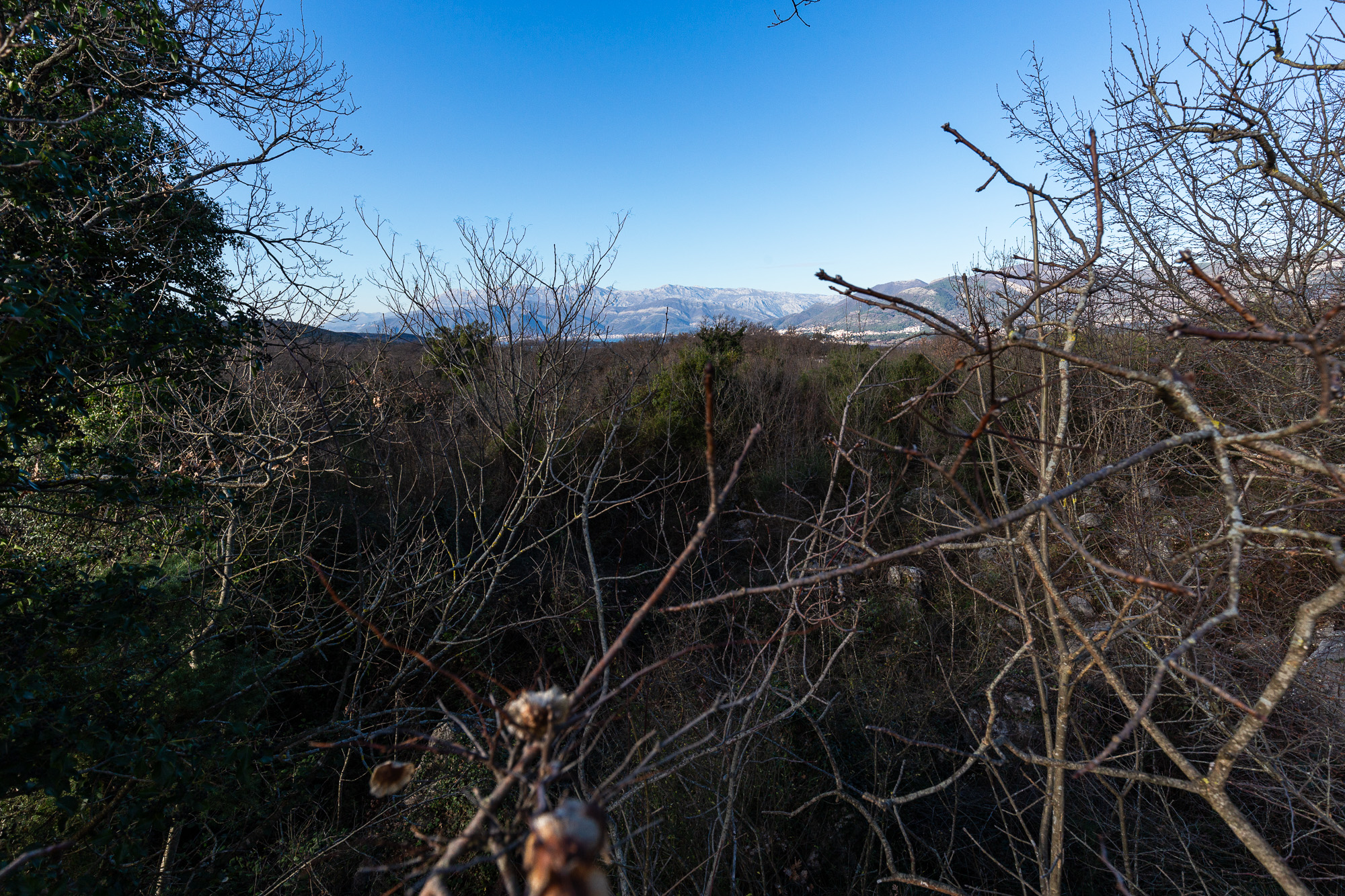 Plot in Kotor, Montenegro – CMM52245