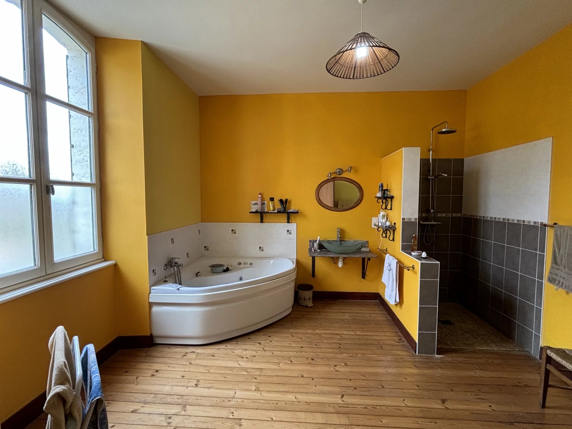 Very spacious grand 5 bedroom home with a 2 bedroom guest house, outbuildings and garden all within walking distance of the town centre., Aquitaine – France – BVI73423