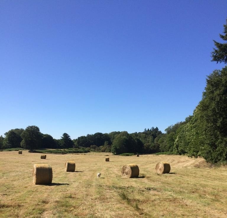 3 bedroom corps de ferme in Marval, Haute-Vienne, France – 12018369640