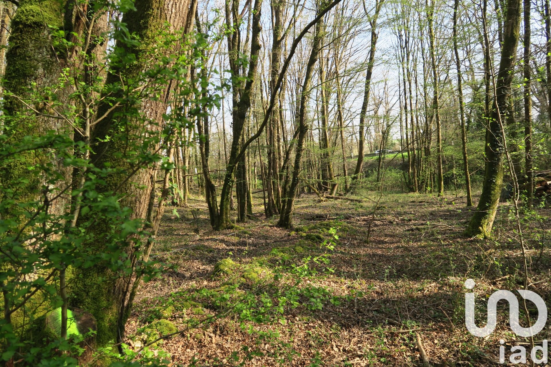 Terrain agricole in Mazerolles, FR – 1735571