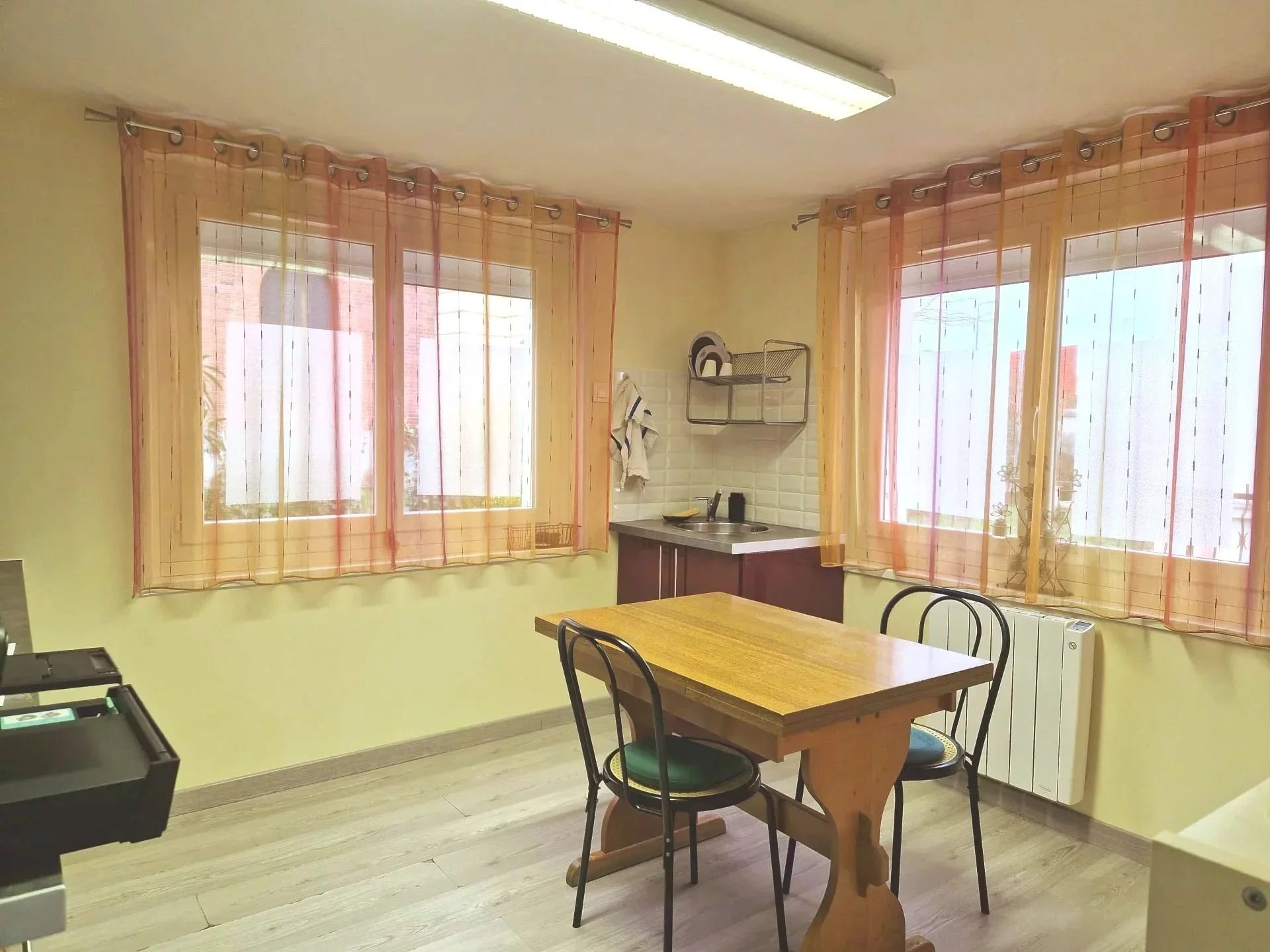 Pleasant town house with business premises, Midi-Pyrénées – France – BVI74733