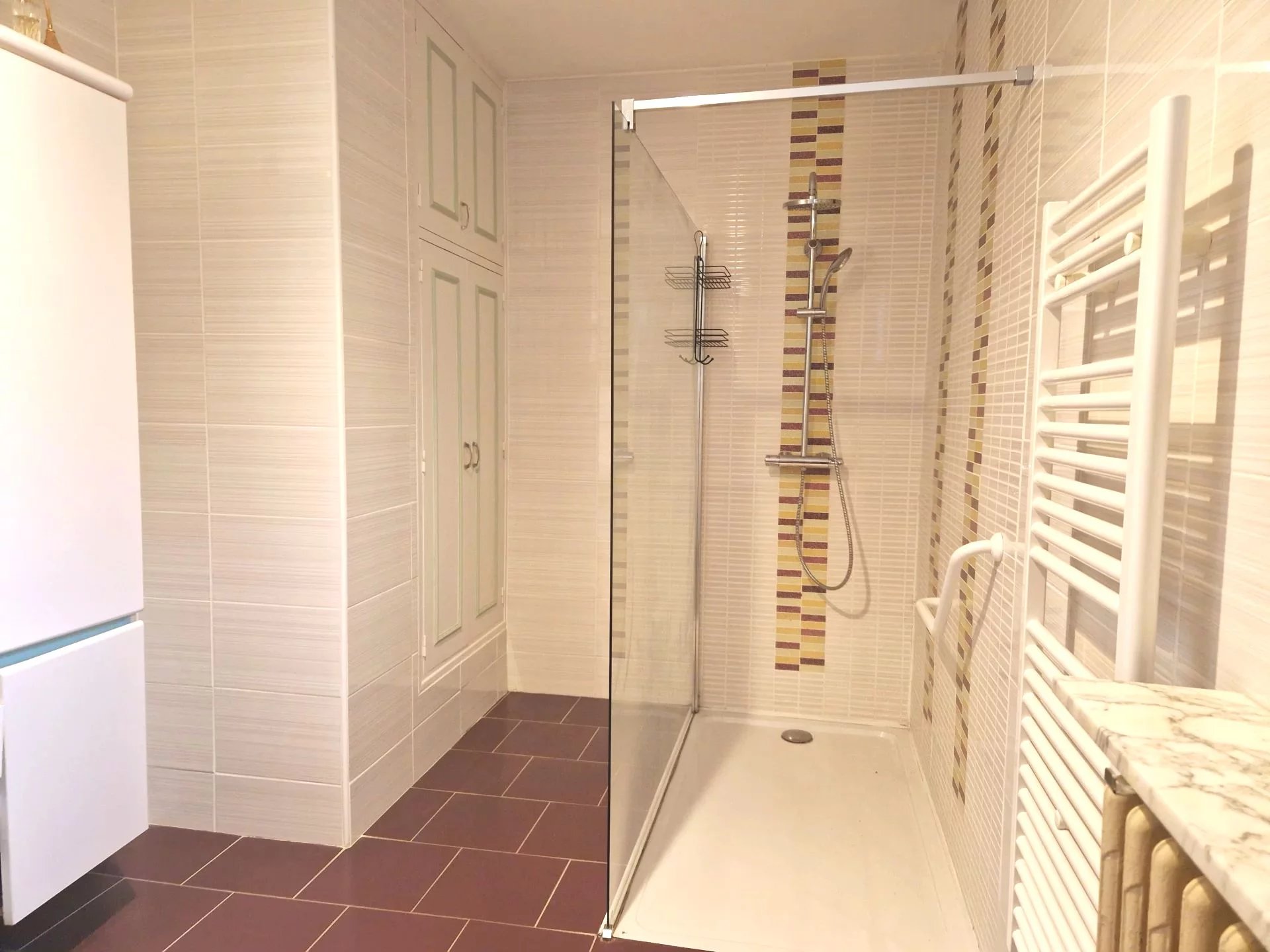 Pleasant town house with business premises, Midi-Pyrénées – France – BVI74733