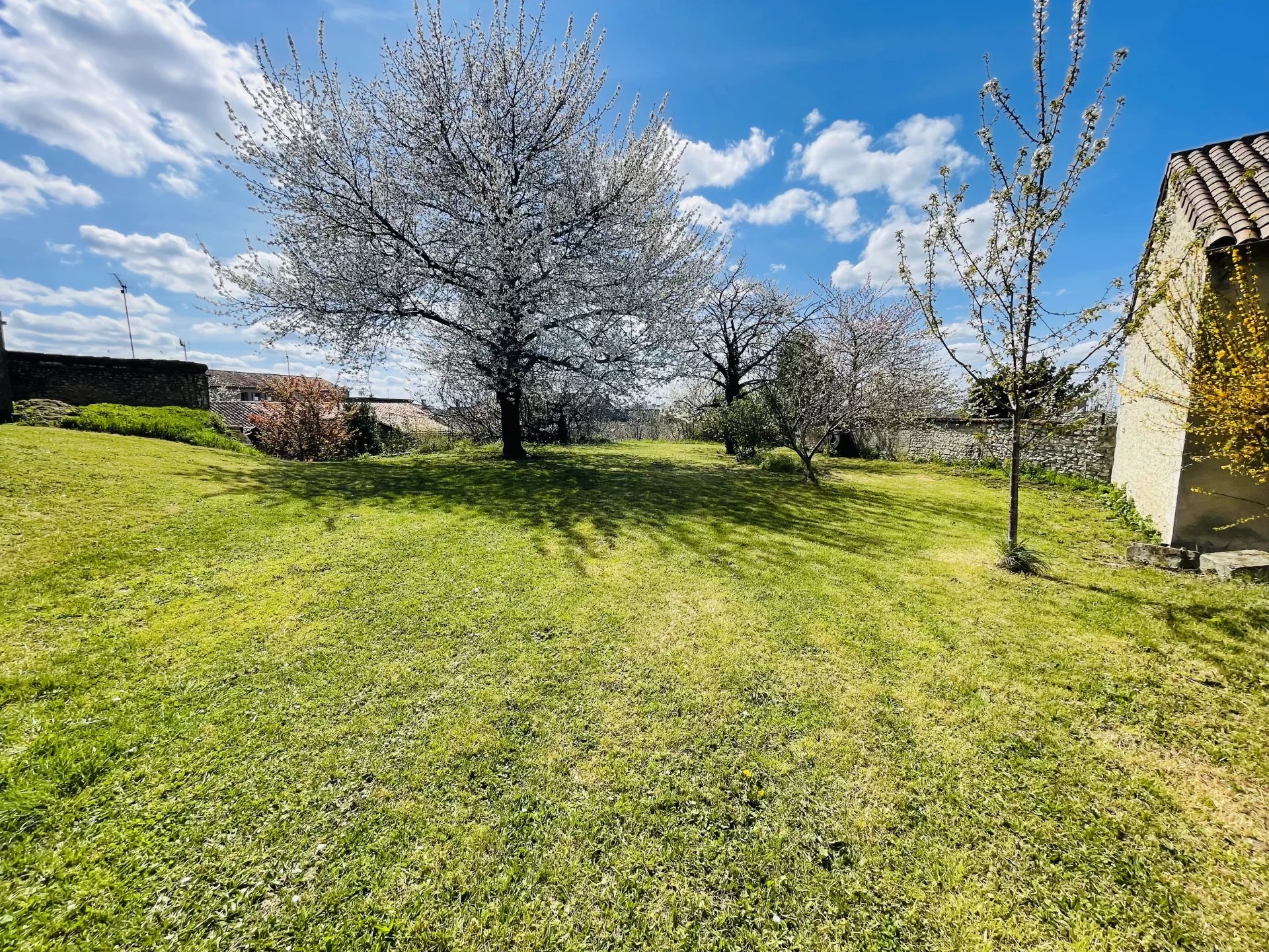 Real estate complex in the heart of the city, Poitou-Charentes – France – BVI71151