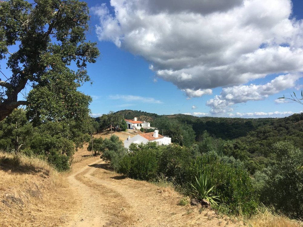 Cosy Monte São Francisco near Melides