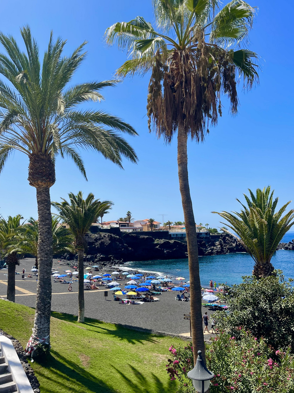 One bedroom apartment Playa la Arena