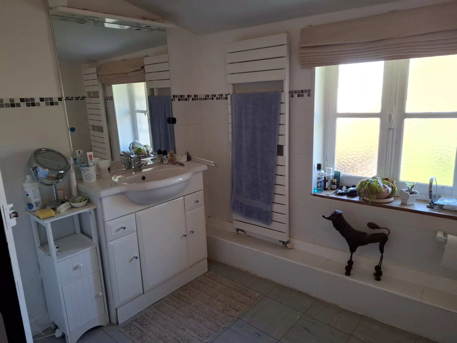 Bright and Spacious 5-Bedroom Family Home with Guest House, Poitou-Charentes – France – BVI80394