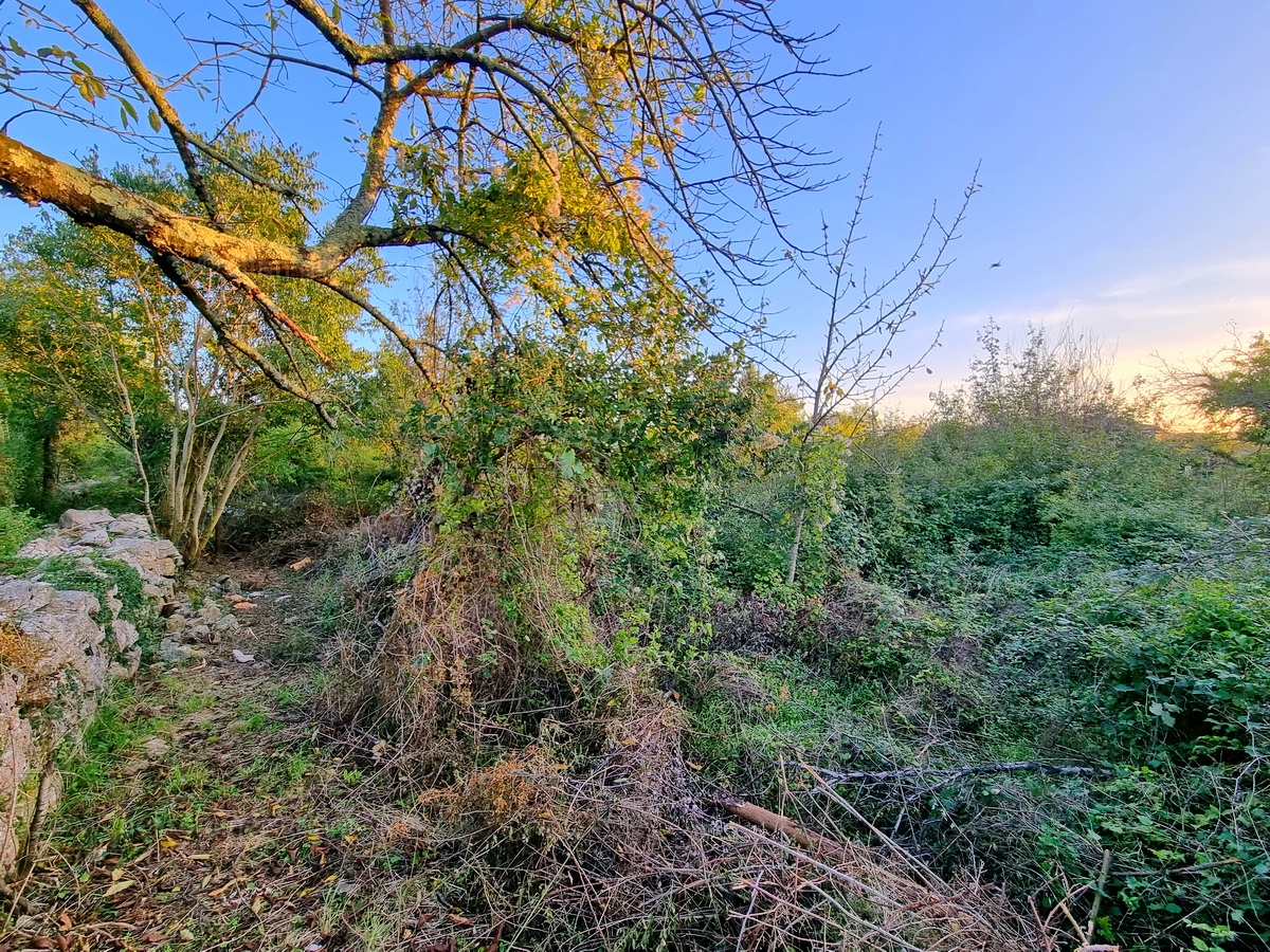 plot in Krk, Croatia – 102737