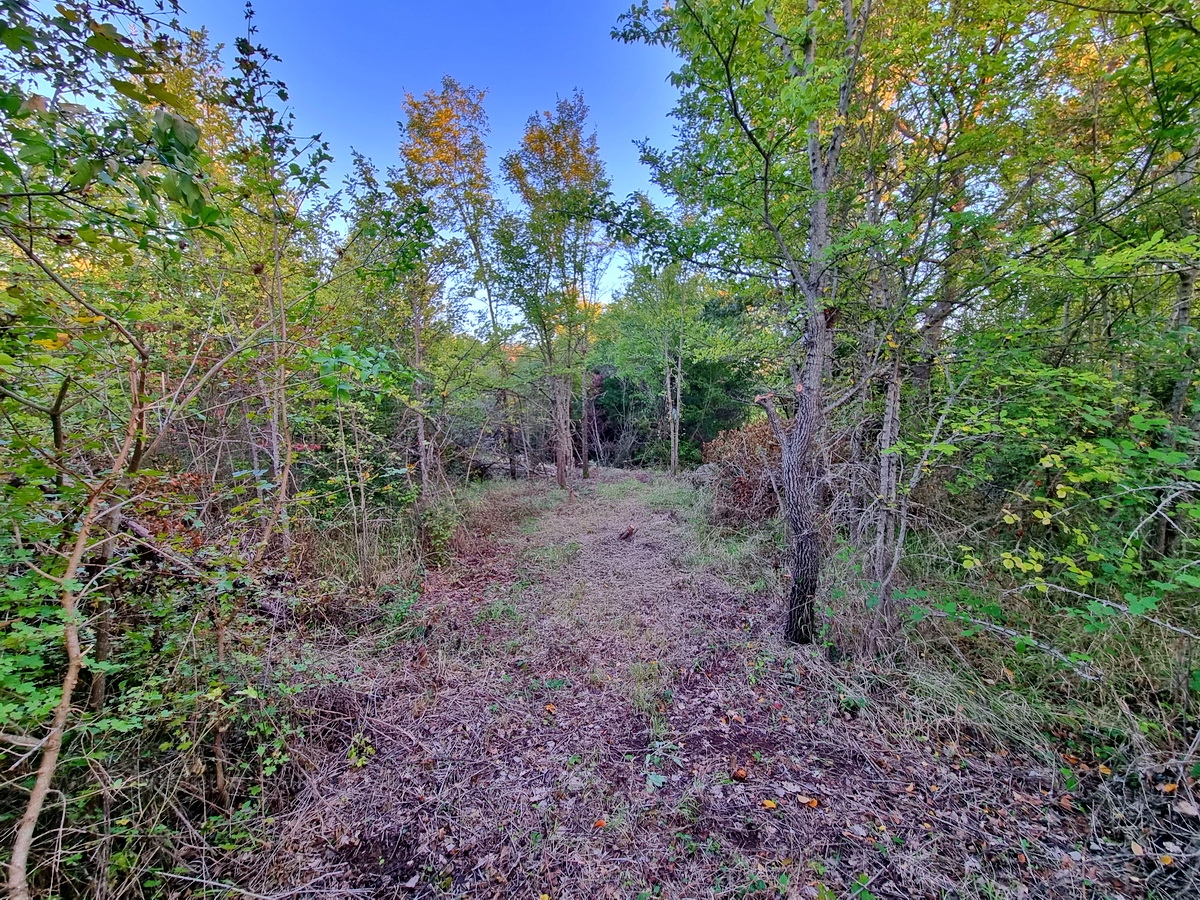 plot in Krk, Croatia – 102725