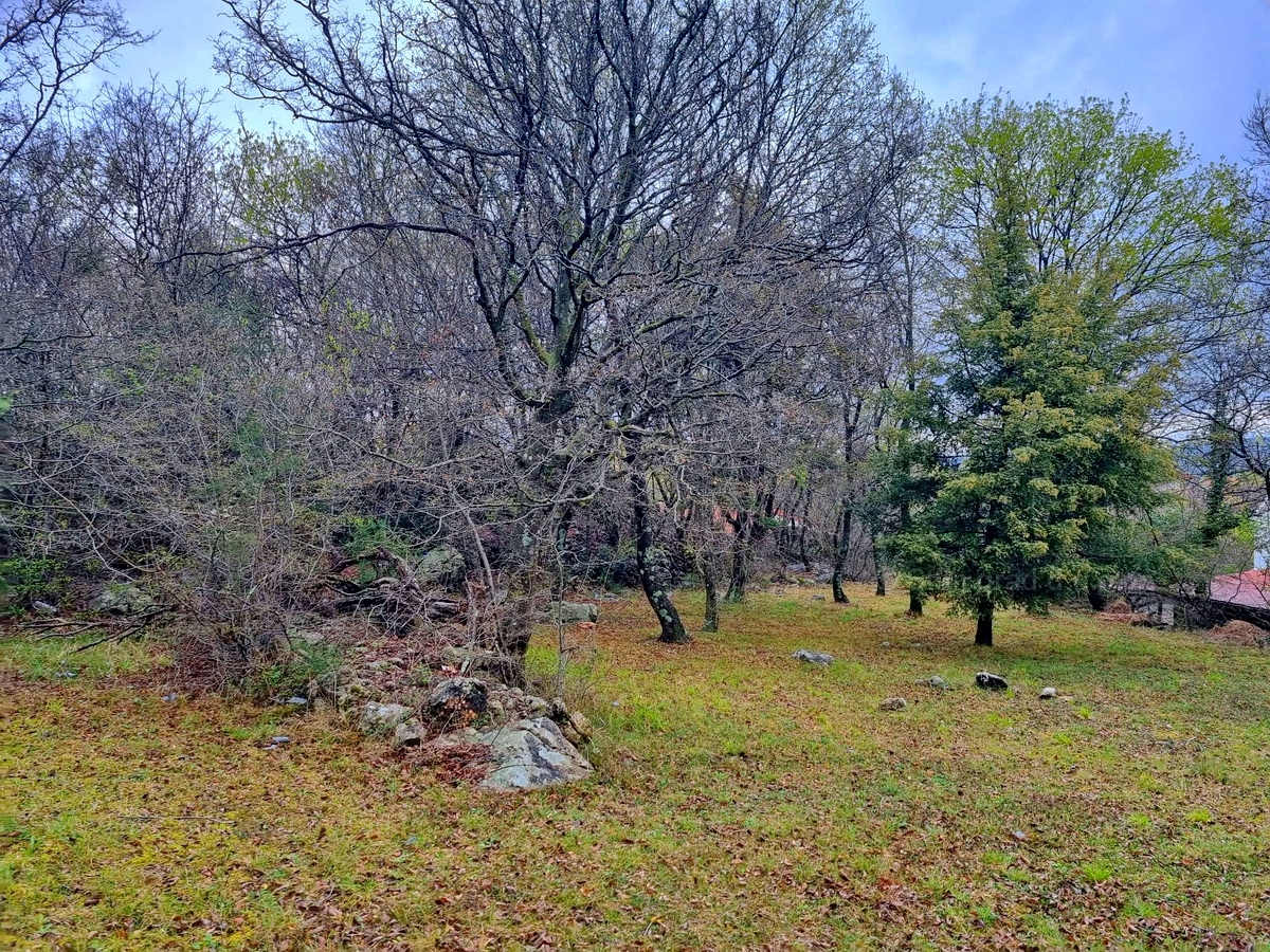 plot in Krk, Croatia – 102335