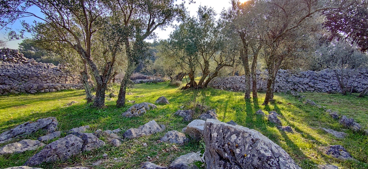 plot in Krk, Croatia – 100467