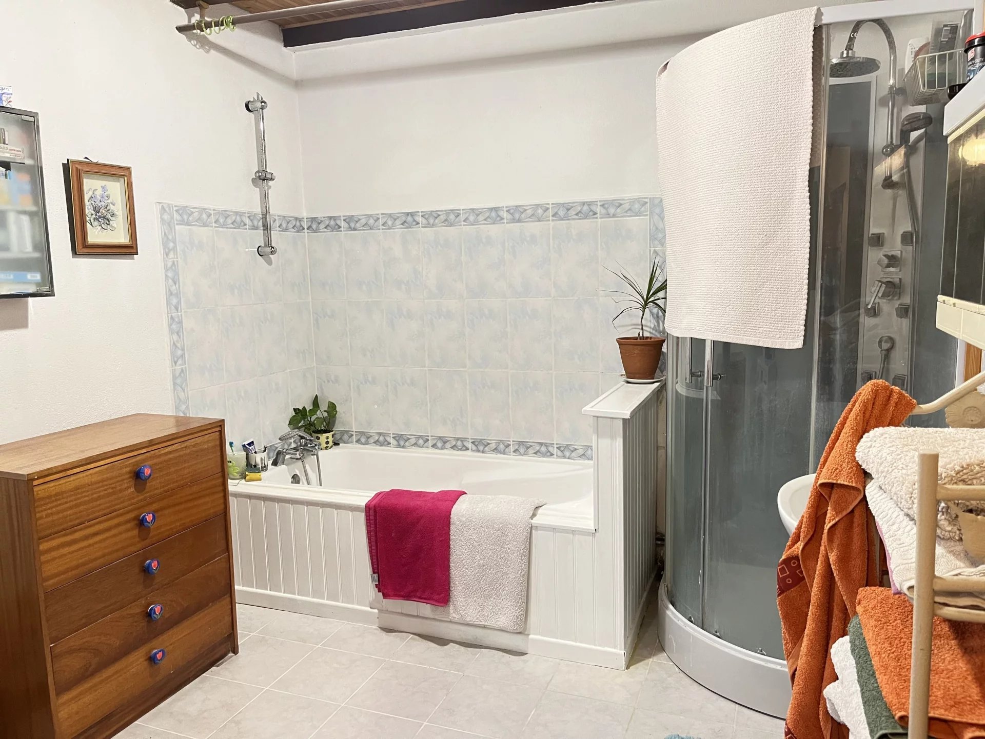 Farmhouse/small holding/equestrian property with 4.5 hectares, Poitou-Charentes – France – BVI66444