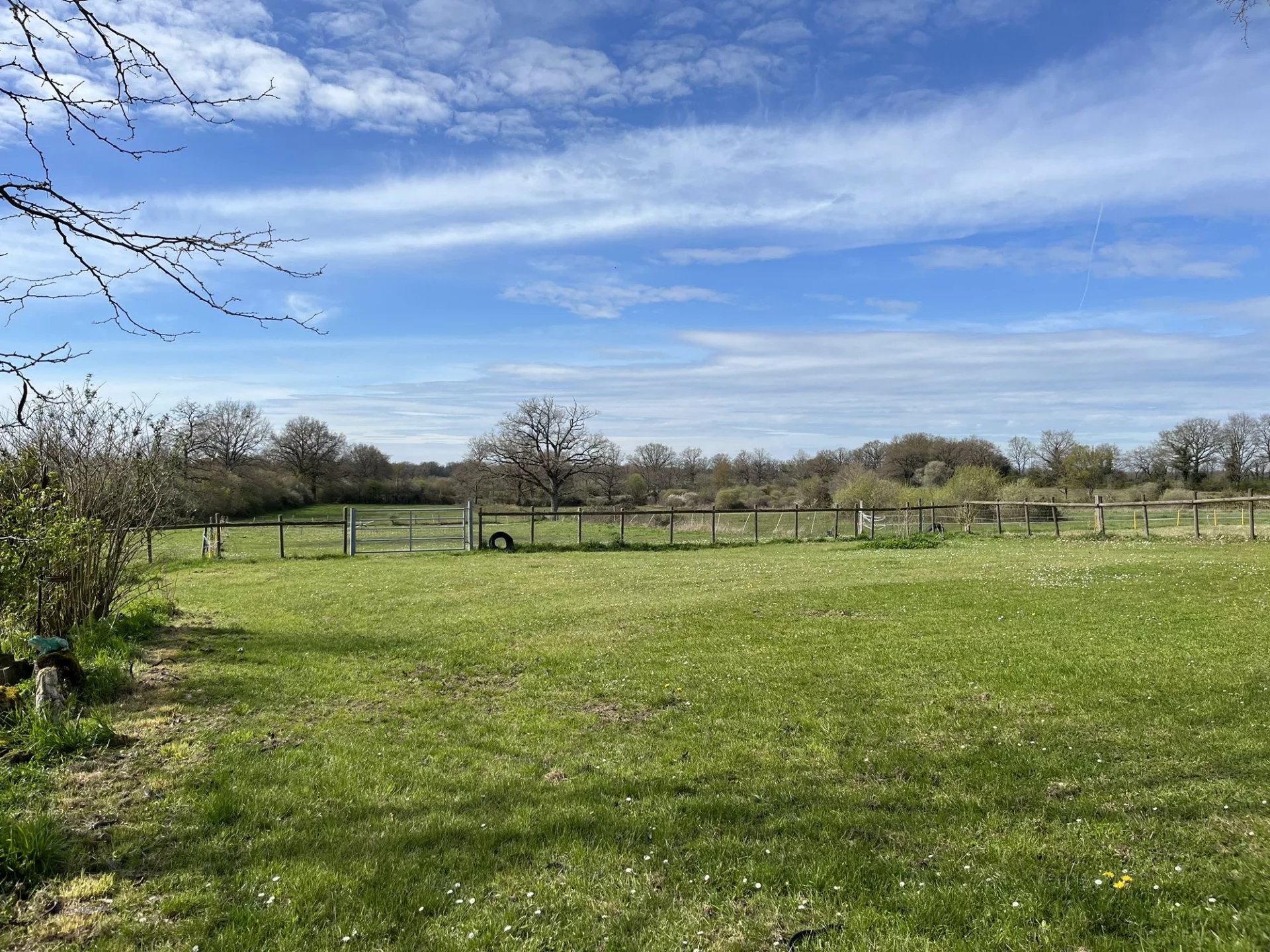 Farmhouse/small holding/equestrian property with 4.5 hectares, Poitou-Charentes – France – BVI66444