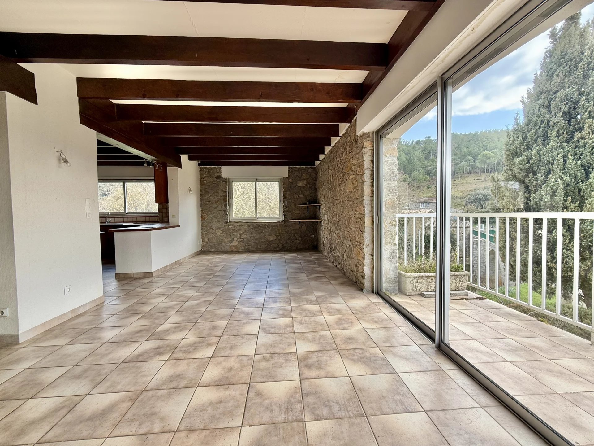 Two stone characterful properties with pool in a picturesque rural setting, Languedoc-Roussillon – France – BVI78511