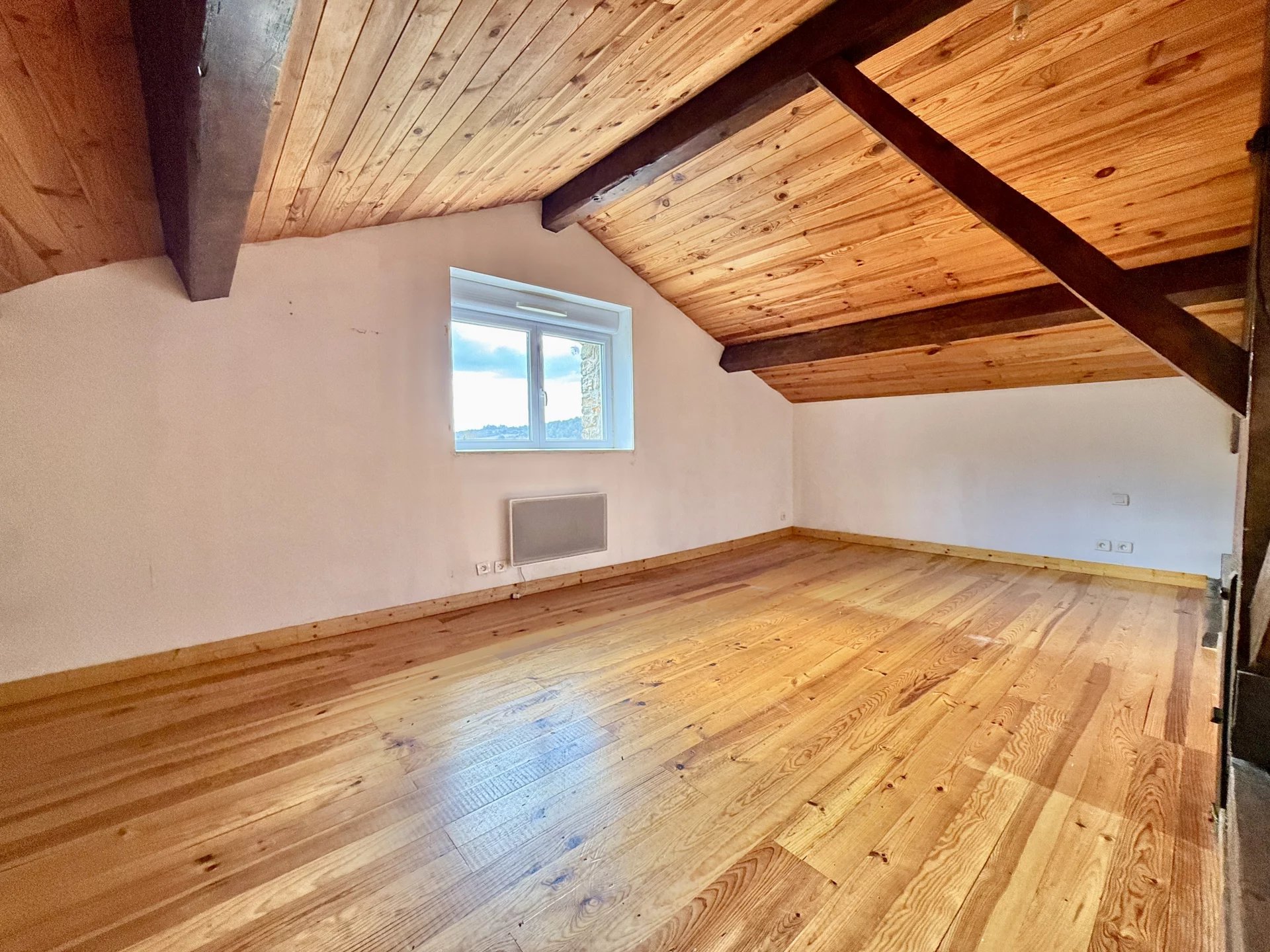 Two stone characterful properties with pool in a picturesque rural setting, Languedoc-Roussillon – France – BVI78511