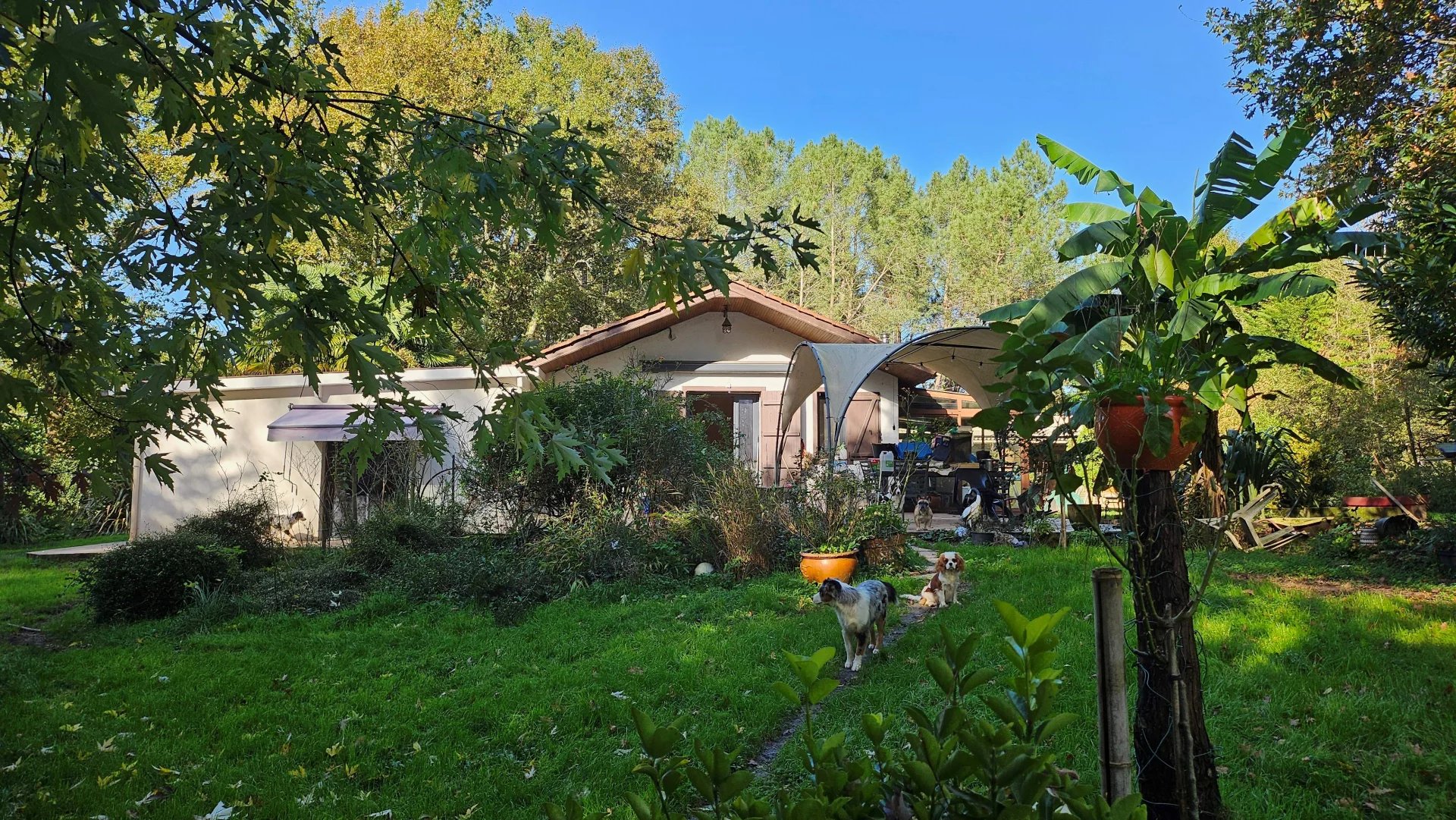 Equestrian property with 7.5 hectares, Poitou-Charentes – France – BVI79976