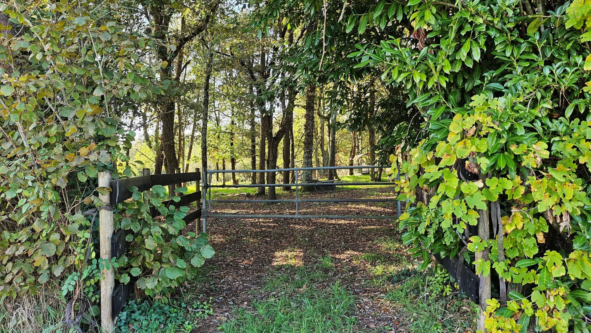 Equestrian property with 7.5 hectares, Poitou-Charentes – France – BVI79976