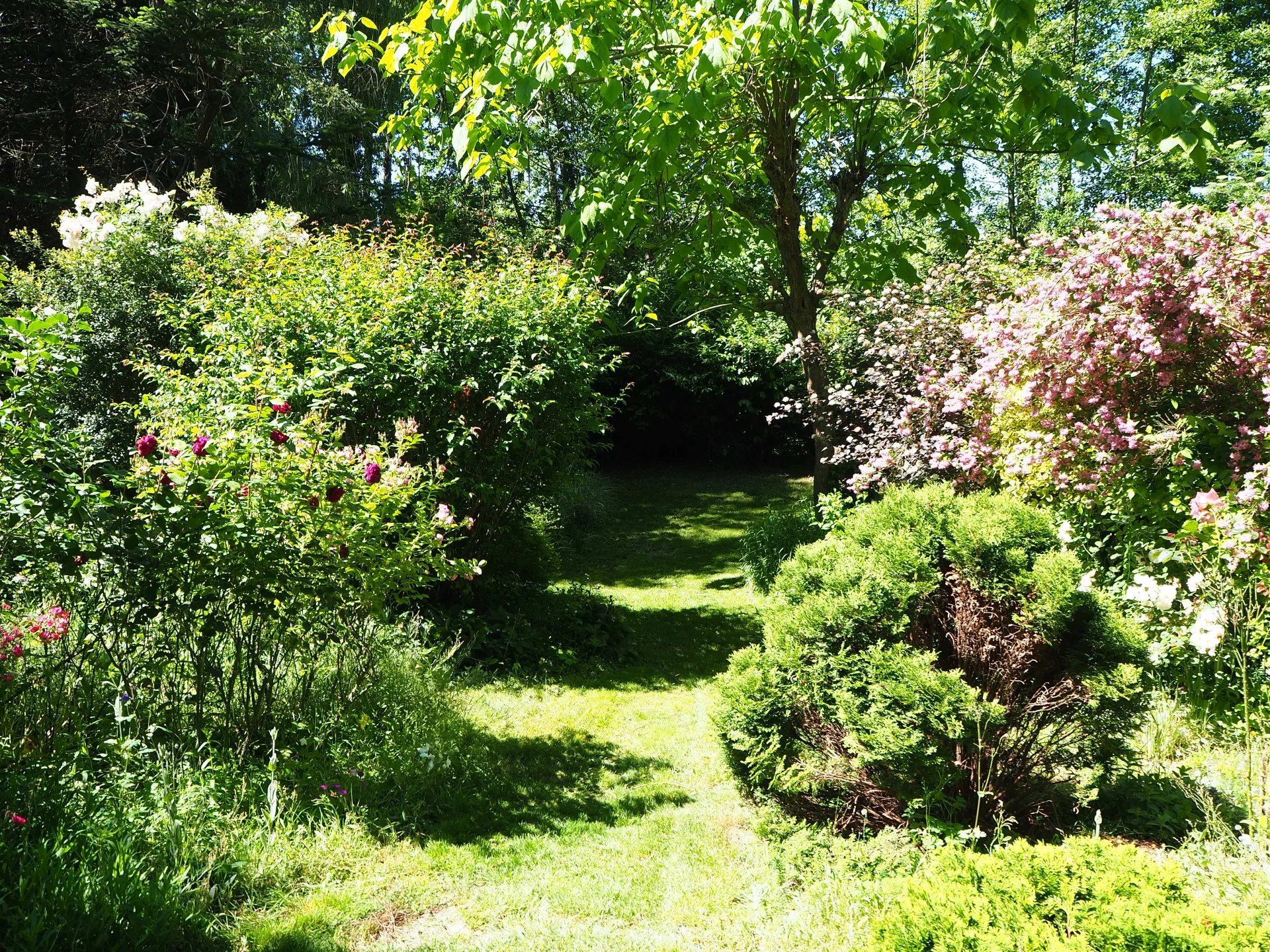 Equestrian property with 7.5 hectares, Poitou-Charentes – France – BVI79976