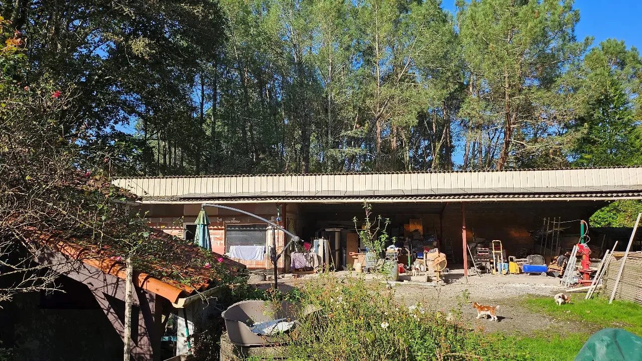 Equestrian property with 7.5 hectares, Poitou-Charentes – France – BVI79976