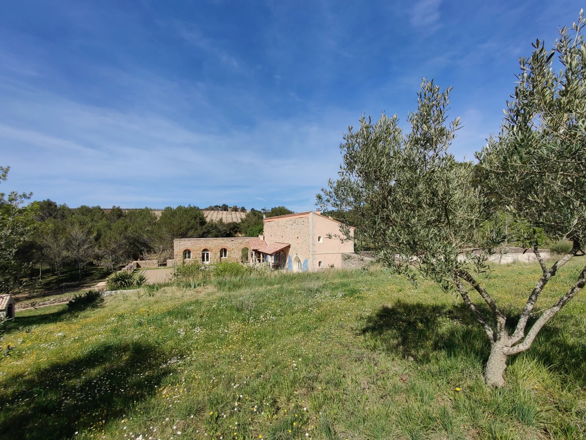 Historic renovated villa surrounded by olive trees and vineyards less than 1 hour from the Med sea, Languedoc-Roussillon – France – BVI66153