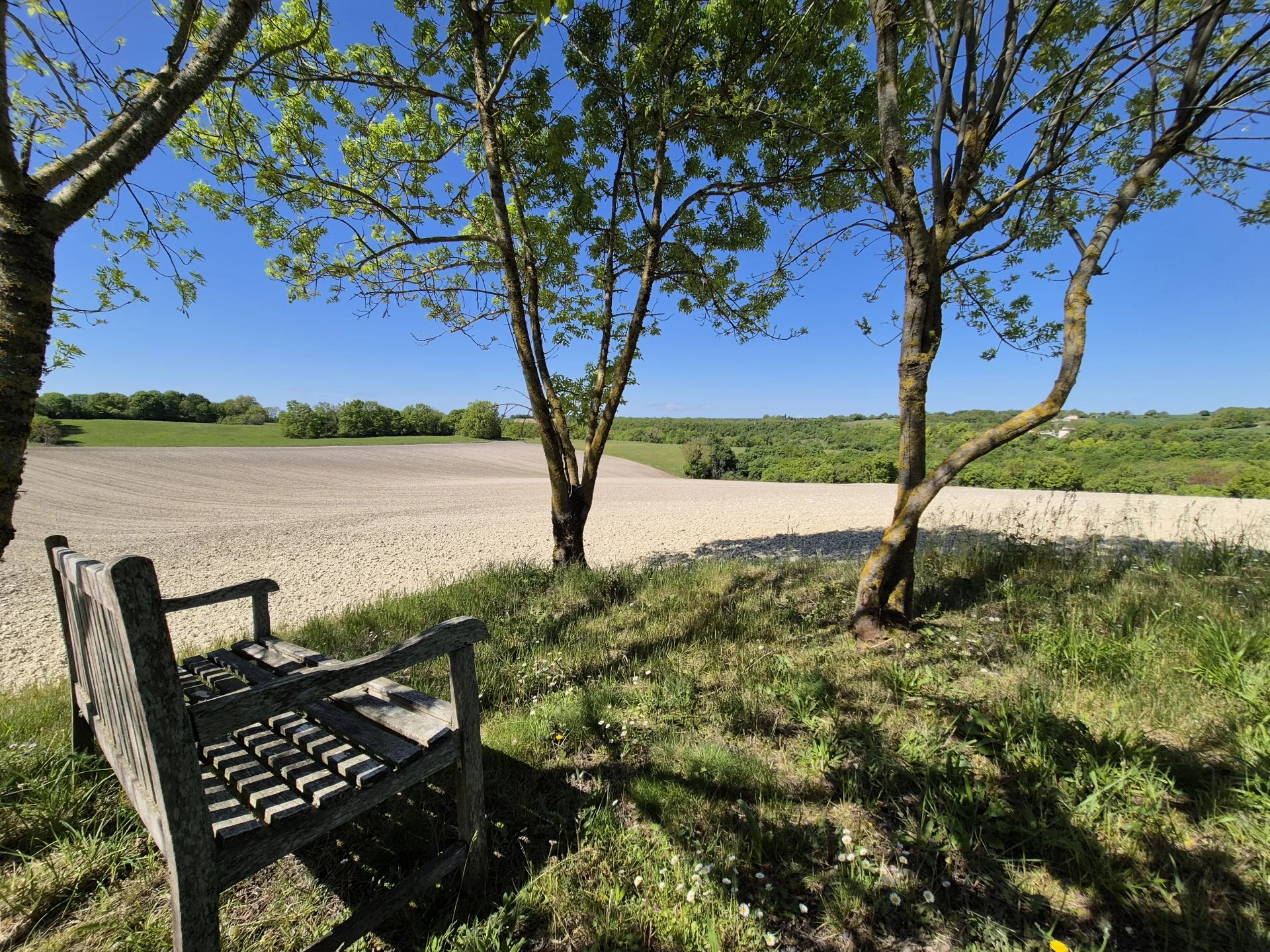 Two stone houses, pool and outbuildings, Midi-Pyrénées – France – BVI80309