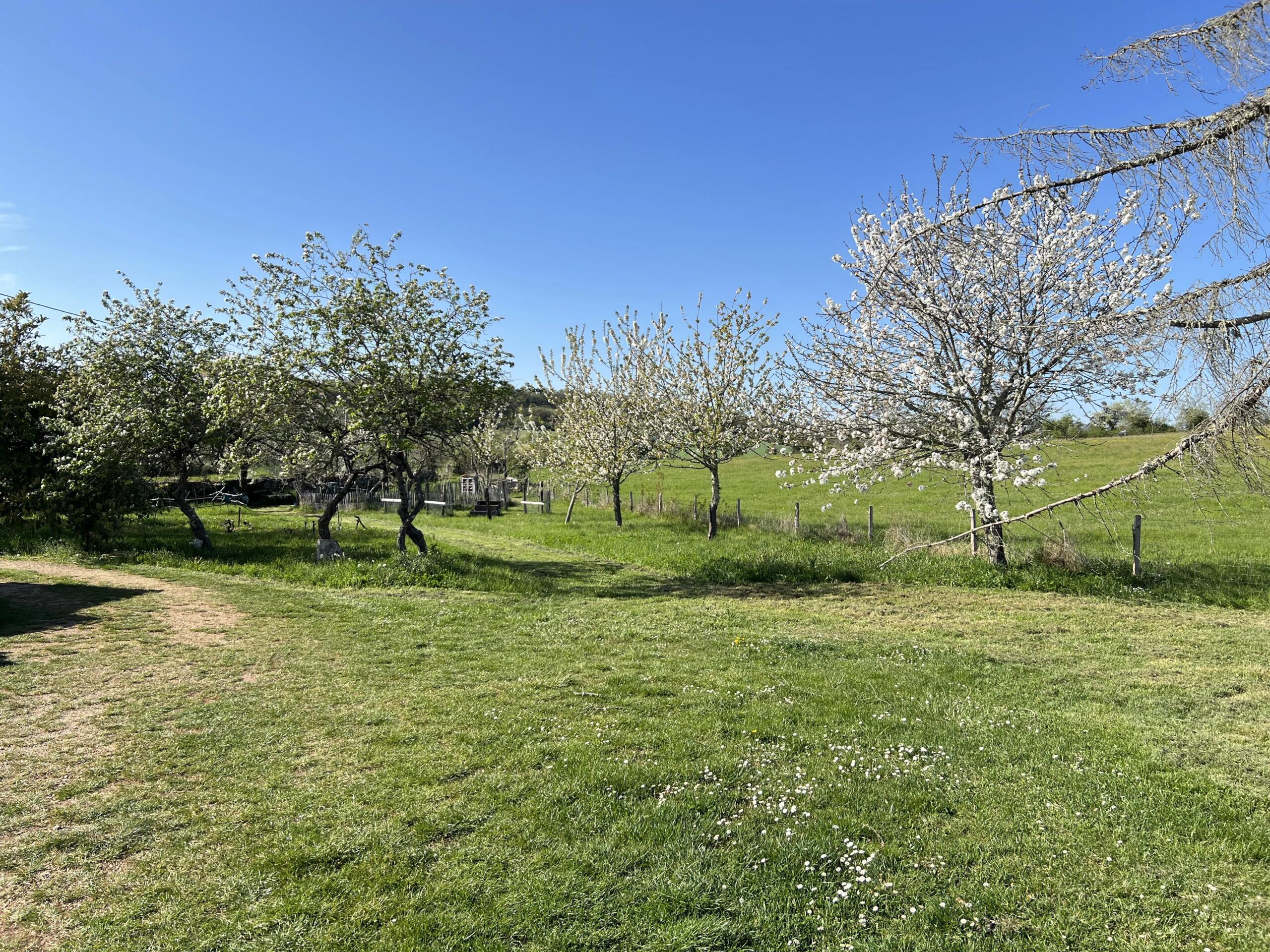 Charming, 4 bedroomed property with outbuildings and land in quiet village, Midi-Pyrénées – France – BVI78189