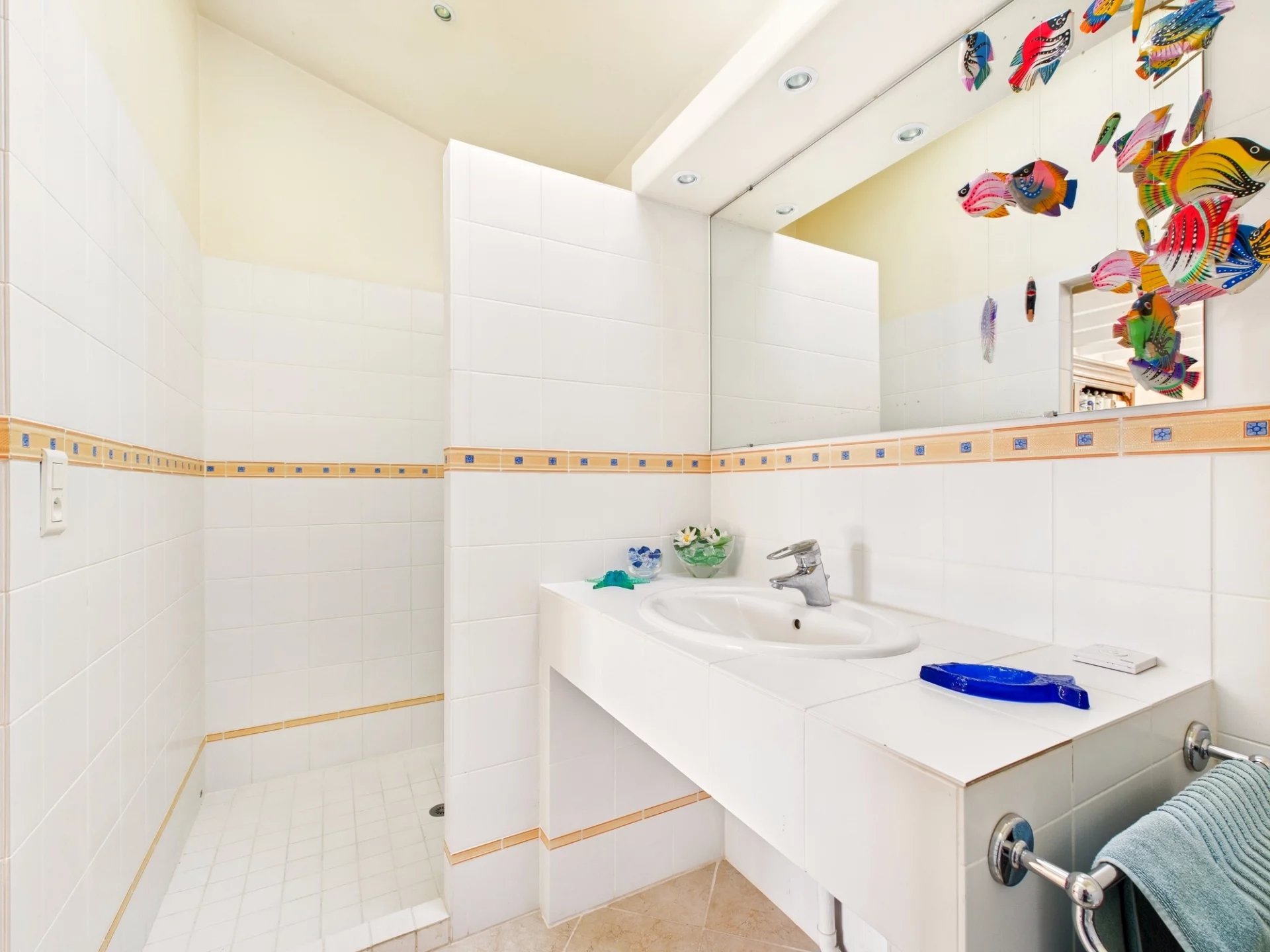 Spacious five-bedroom house with garden, Aquitaine – France – BVI78415