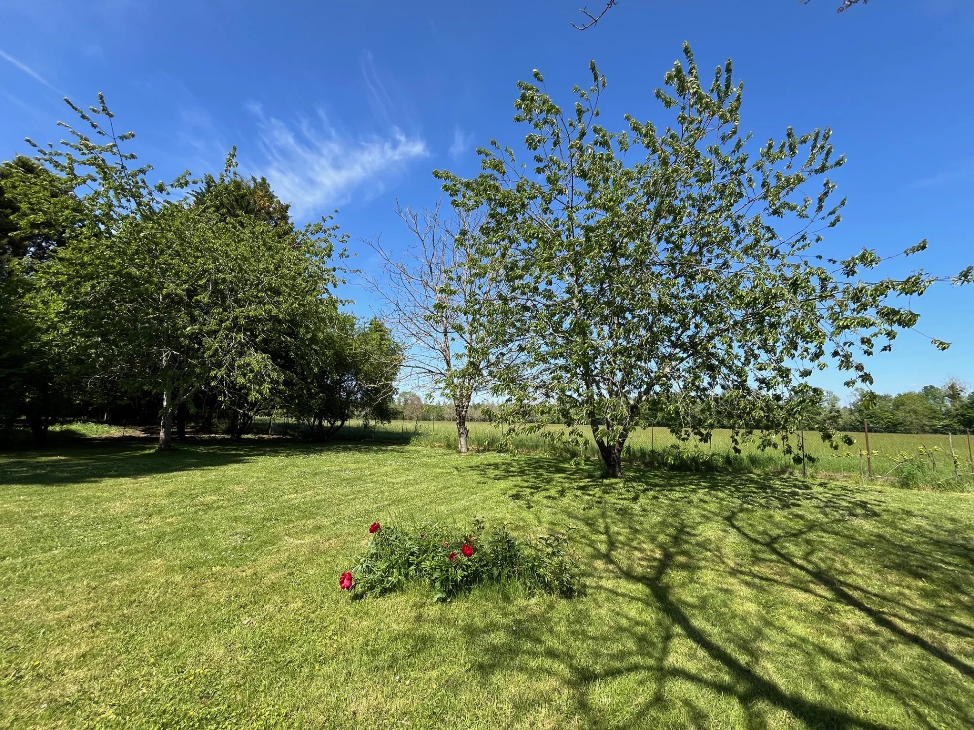 Character stone house privately placed in a small village, Aquitaine – France – BVI80752