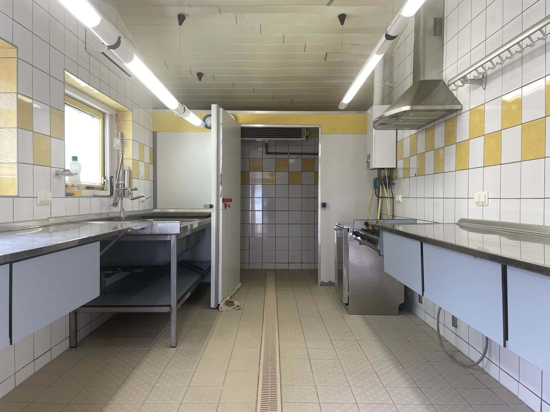 Single storey house with apartment and outbuildings set in a lovely rural location, Aquitaine – France – BVI72872