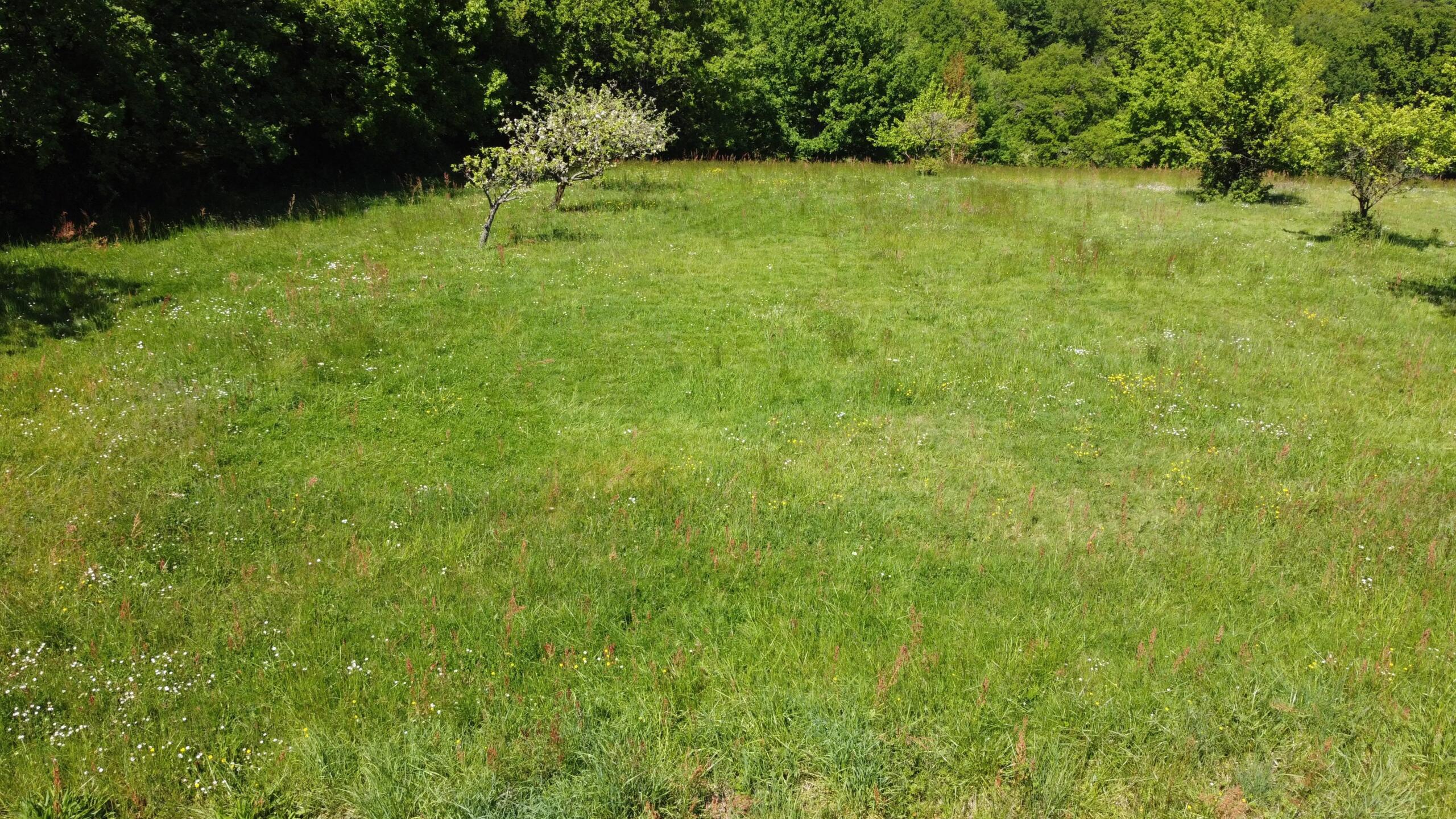 Building land – A Beautiful Setting in Lot-et-Garonne, Aquitaine – France – BVI80147