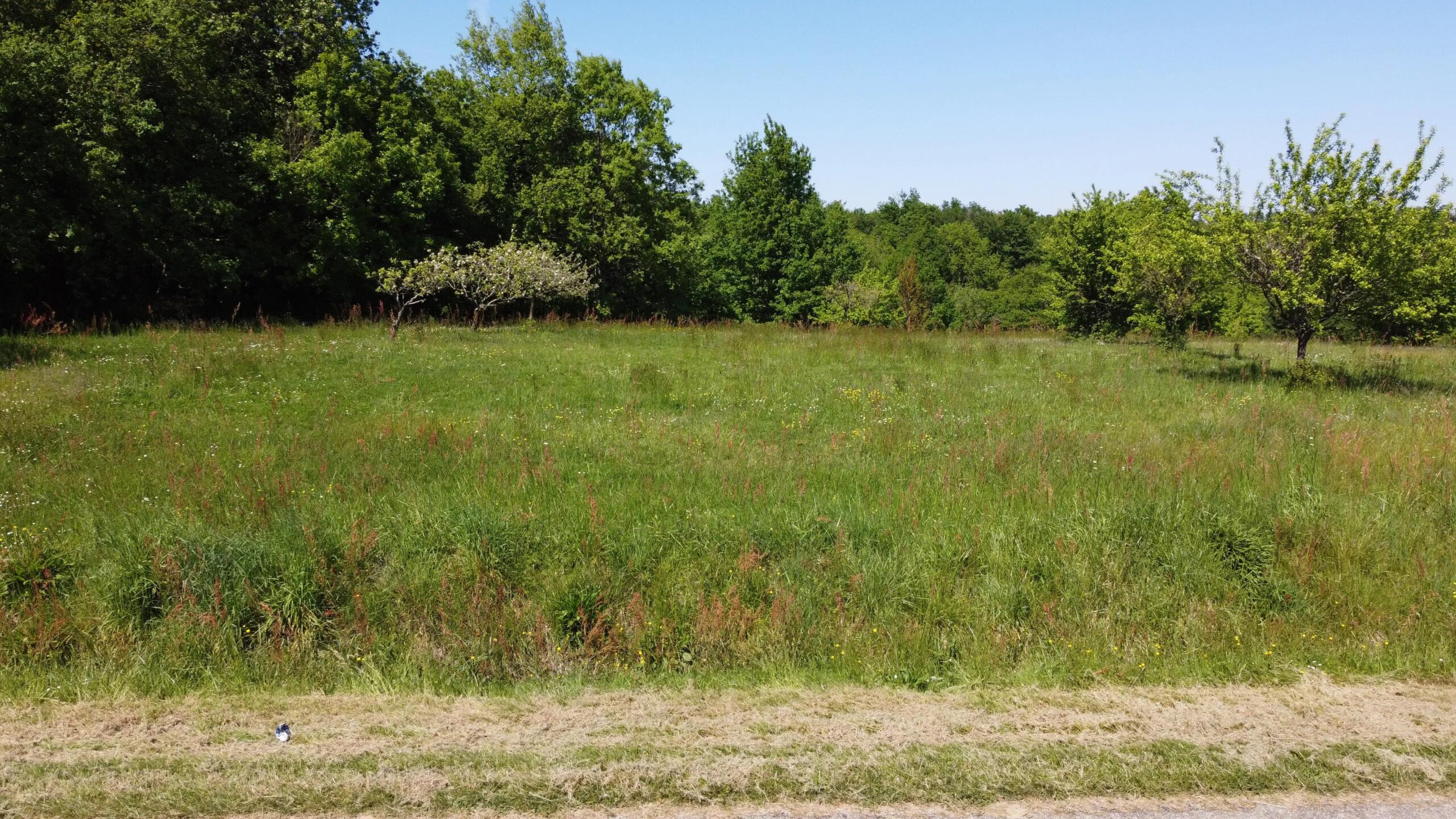 Building land – A Beautiful Setting in Lot-et-Garonne, Aquitaine – France – BVI80147