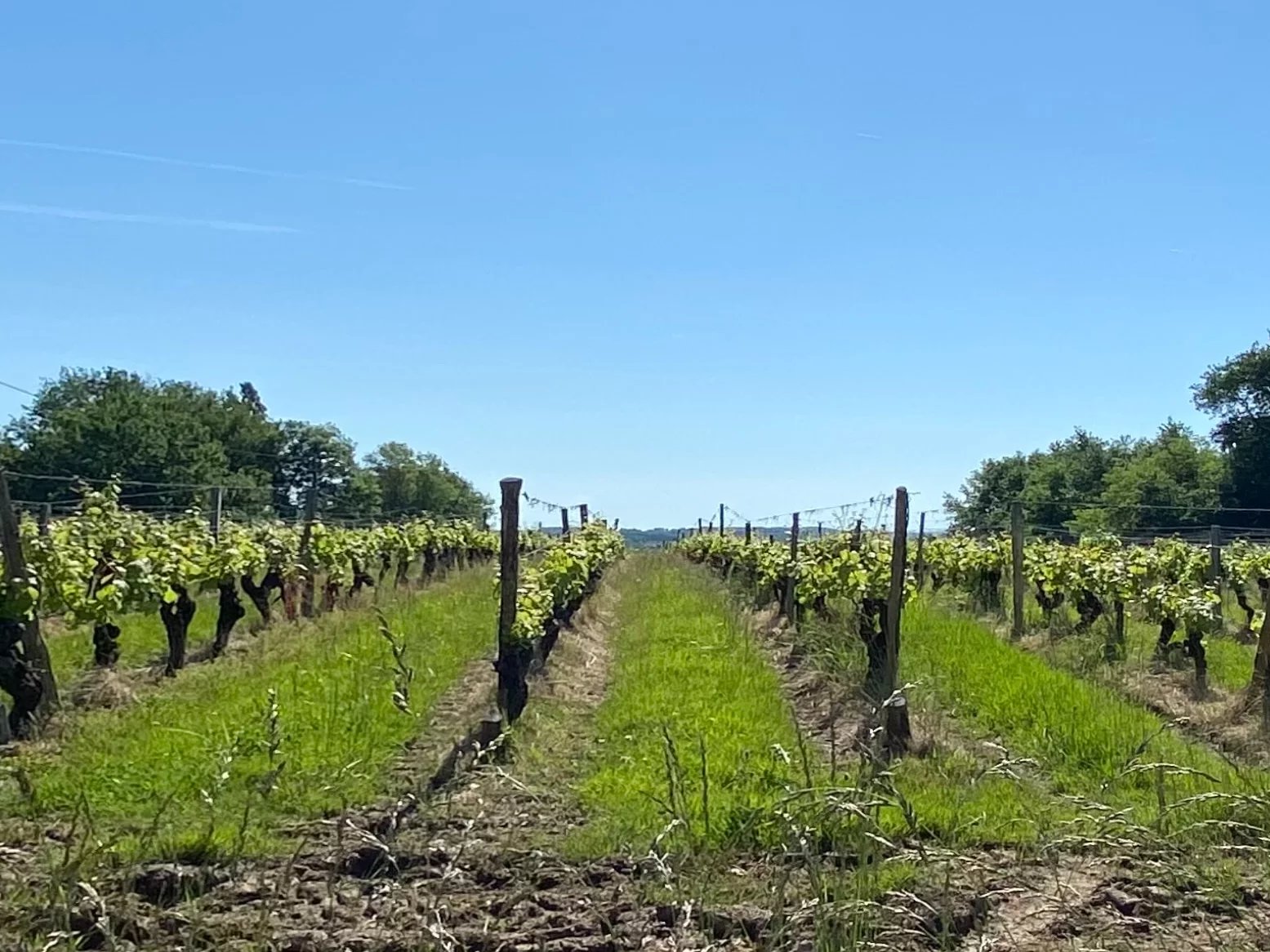 Exceptional home at the gateway to Bergerac, Aquitaine – France – BVI80661