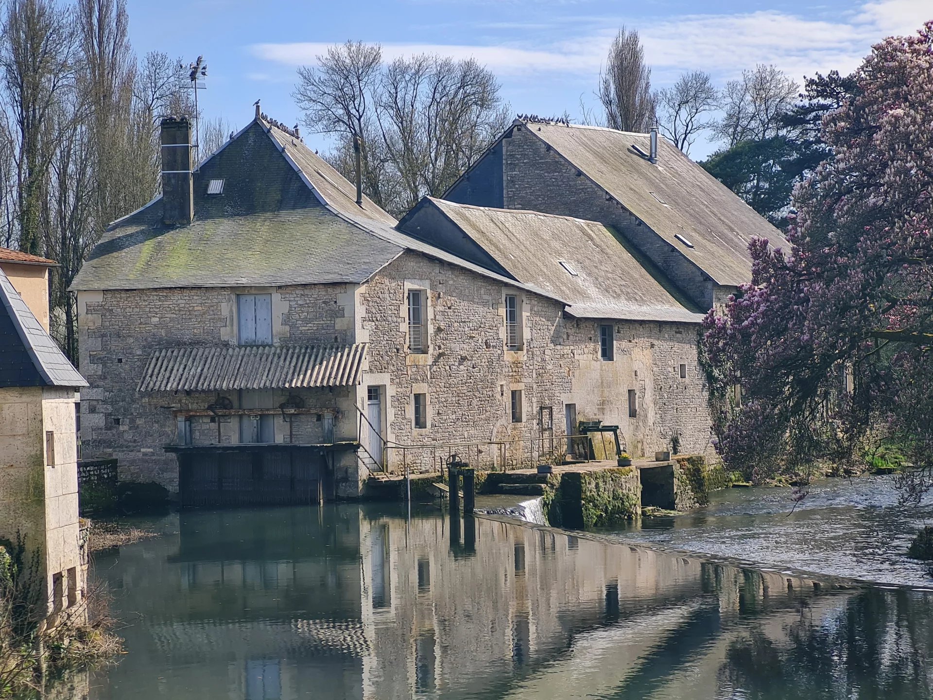 Charming riverside property in Verteuil-sur-Charente brimming with potential, Poitou-Charentes – France – BVI79639