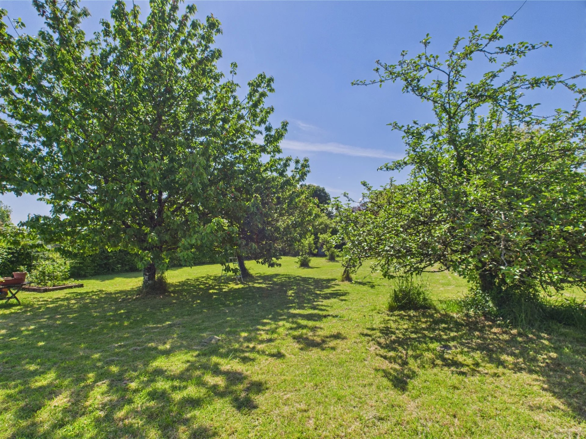 Village House within walking distance of Verteillac, Aquitaine – France – BVI76408