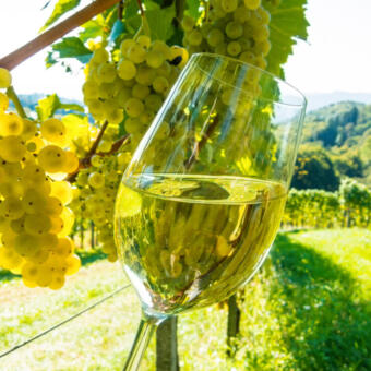 Popular wines across Europe