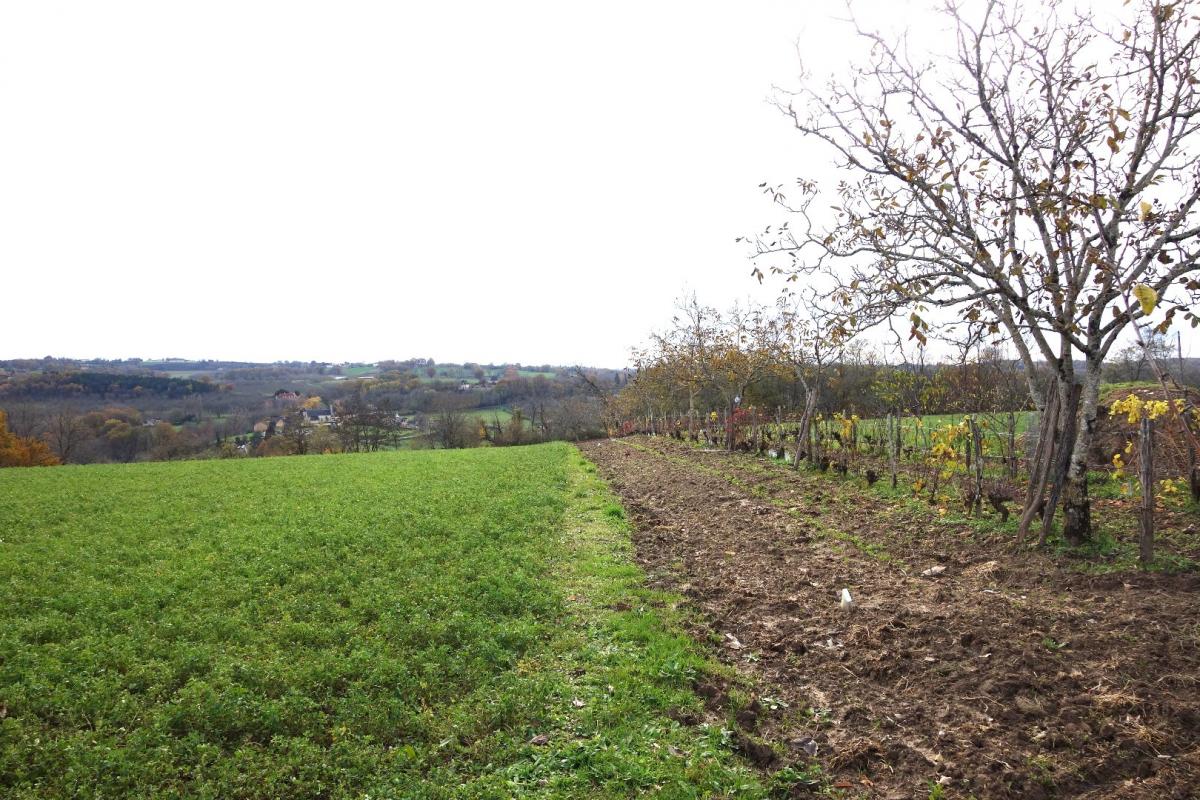 terrain in Nailhac, Dordogne, France – 19001204944