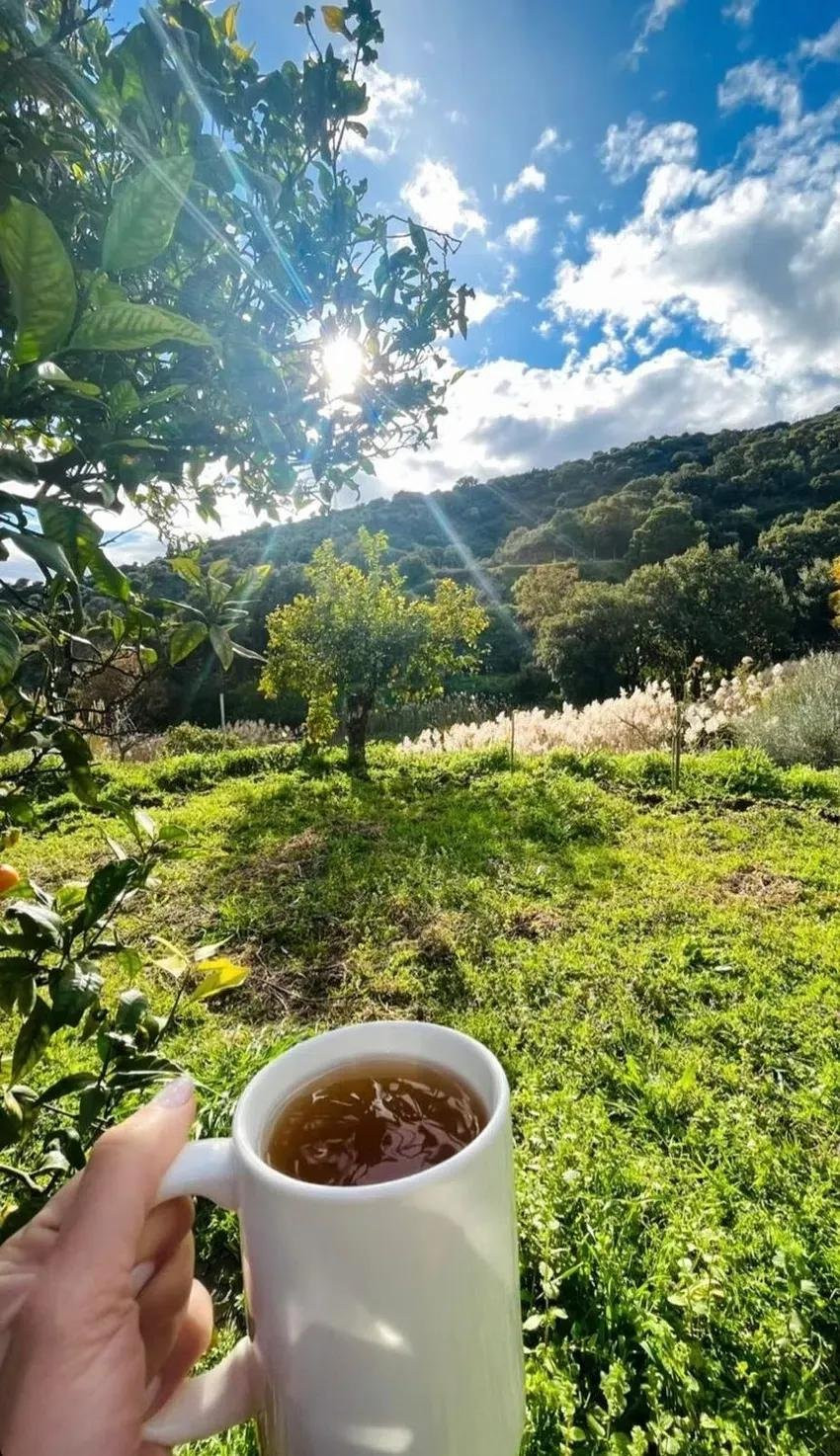 3 bedroom Finca in Estepona, Malaga, Spain – 428-04467D